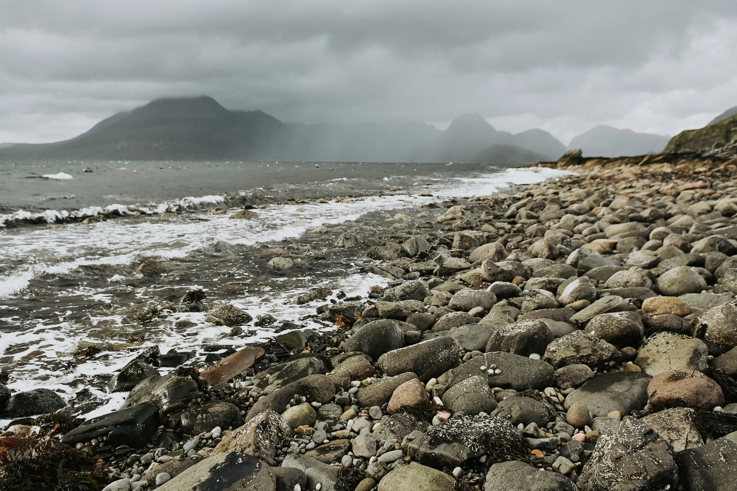 DSC_1642.jpg