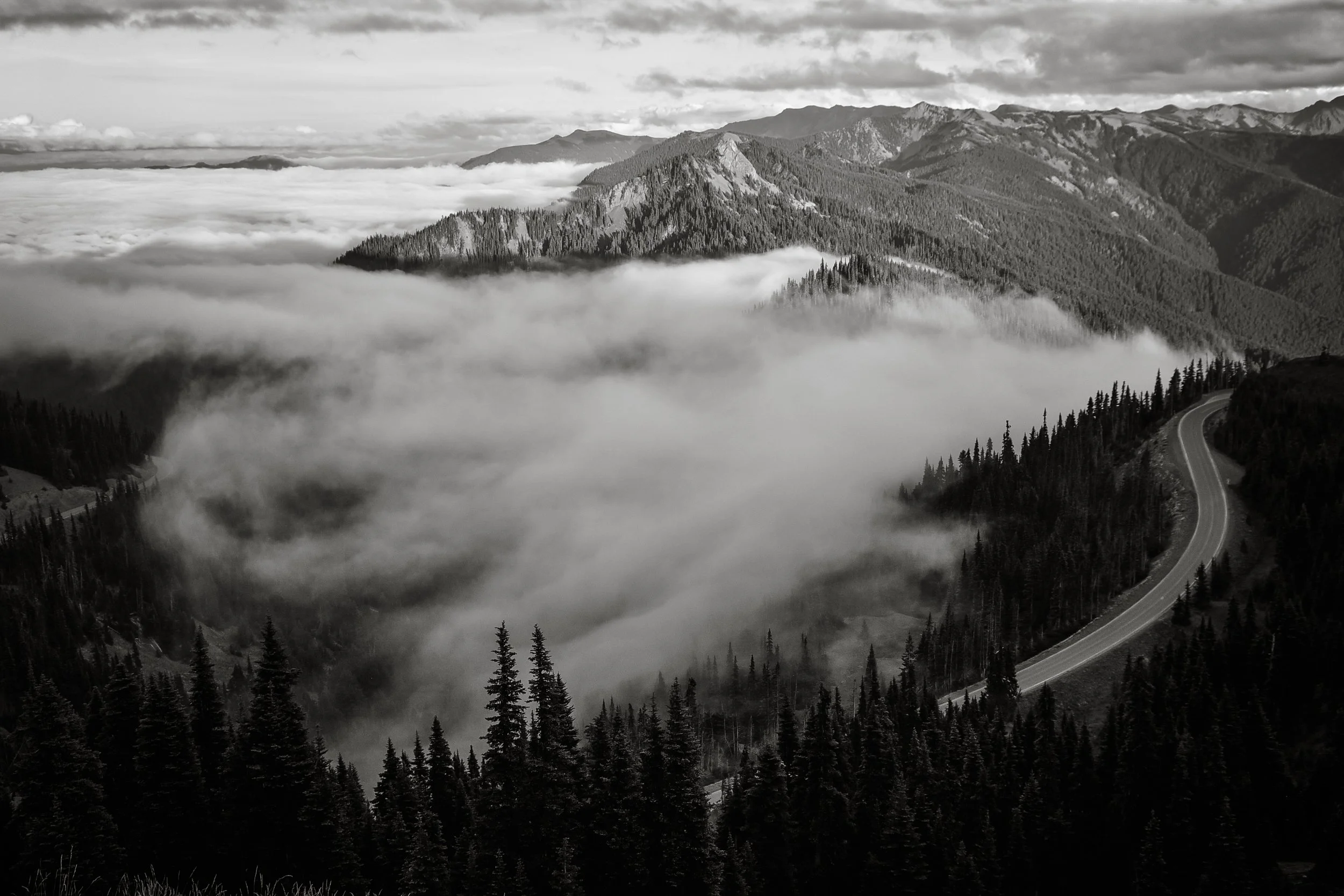_DSC8167.jpg