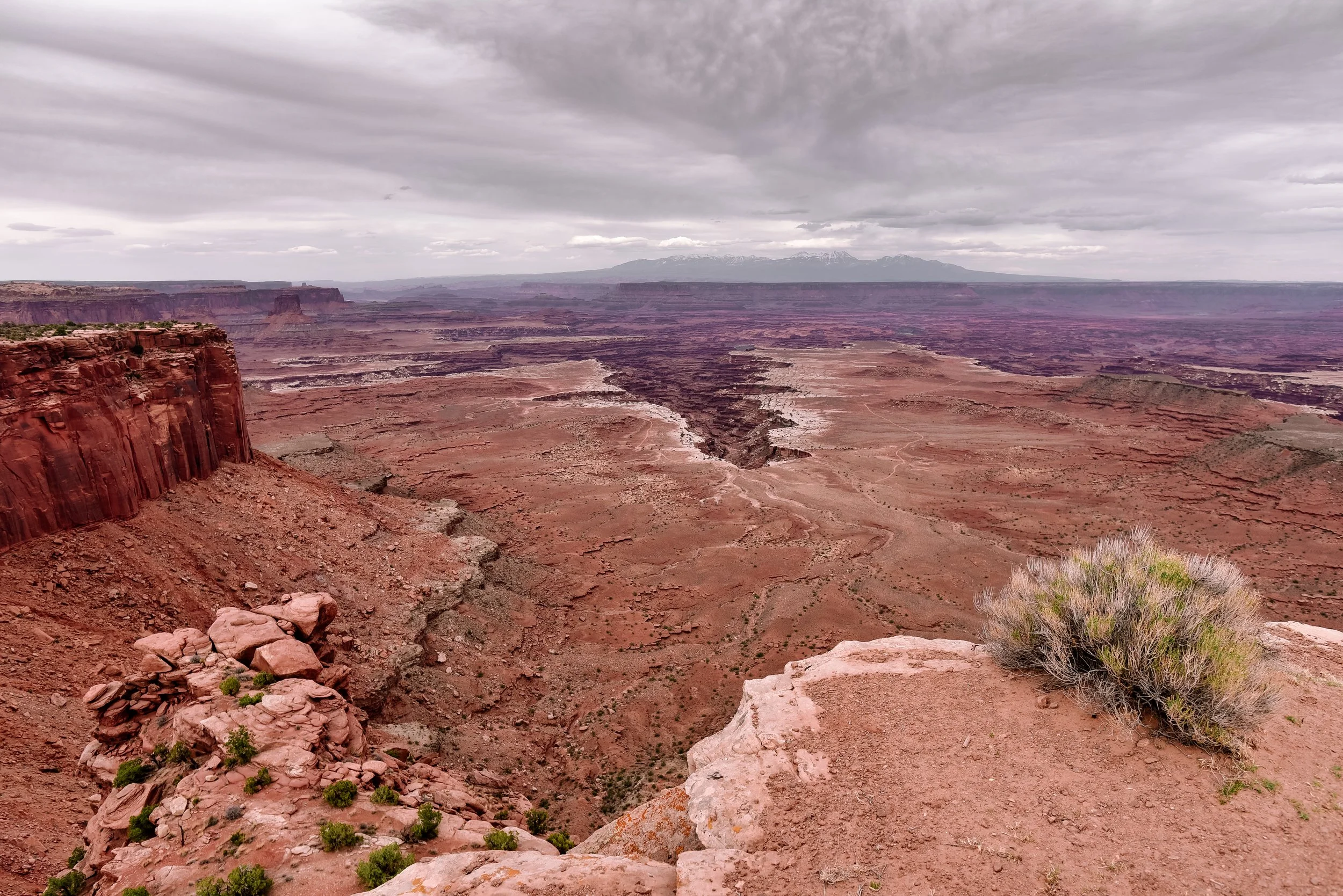 DSC_8690.jpg
