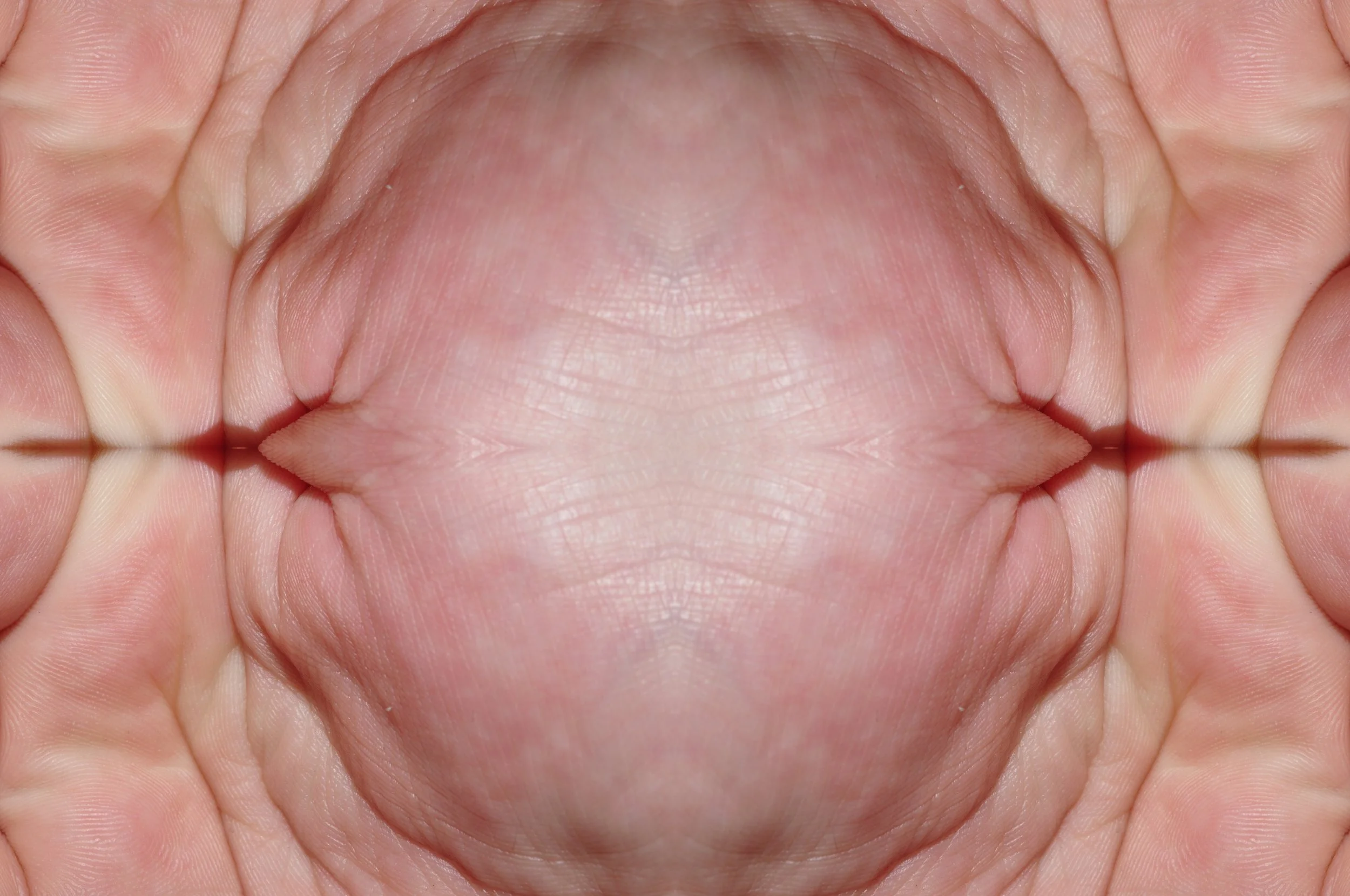 _DSC0923small.jpg