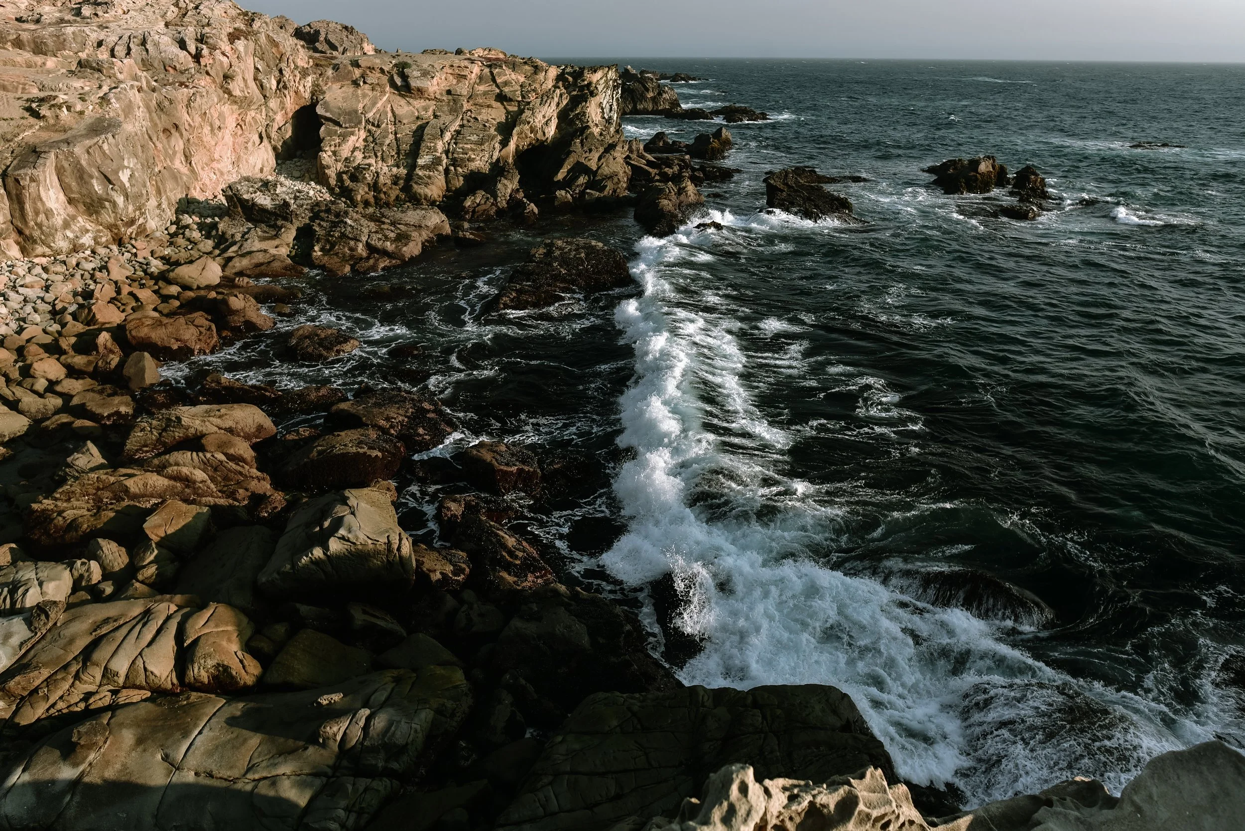 DSC_2592.jpg