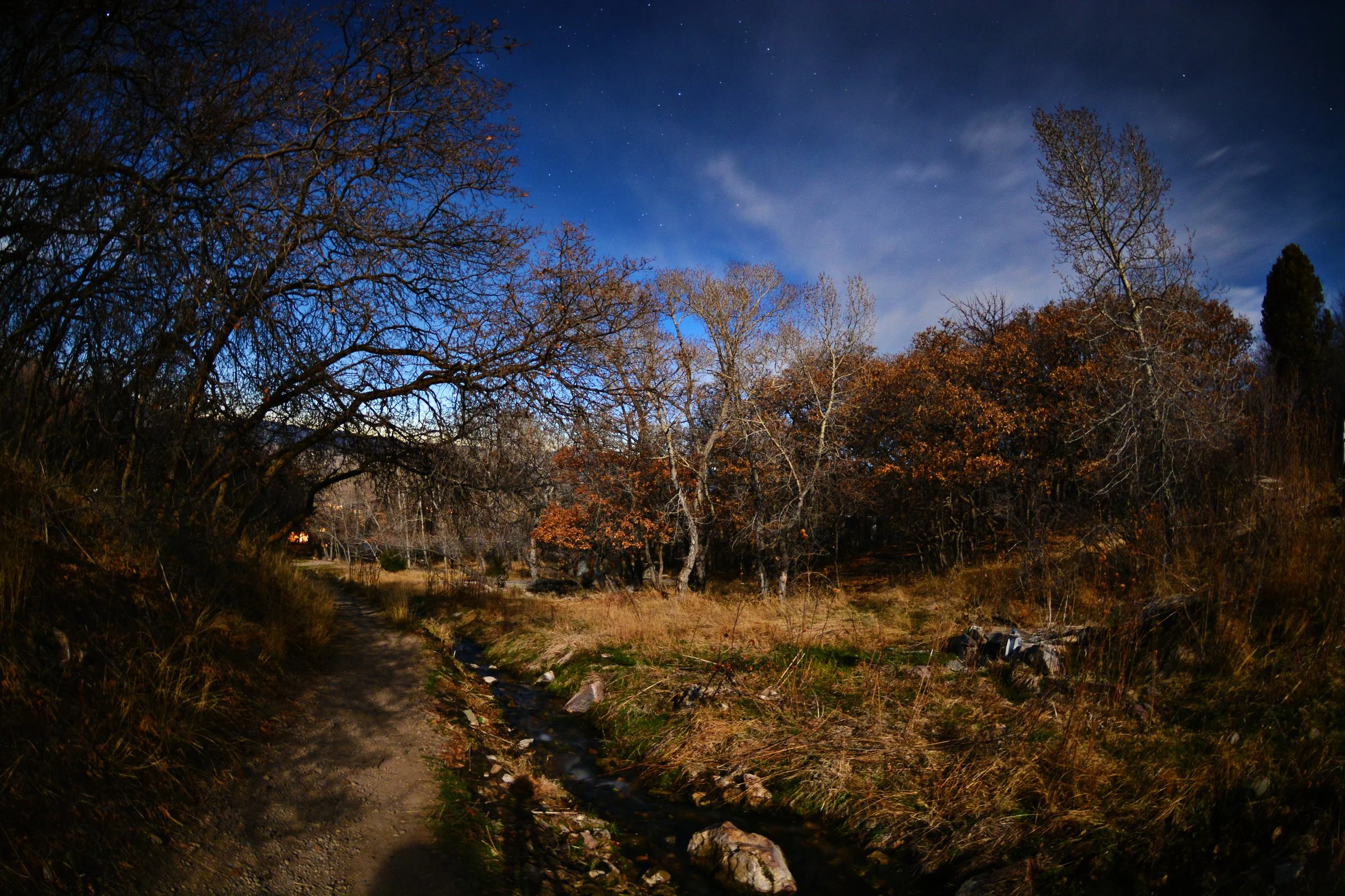 DSC_7179j.jpg