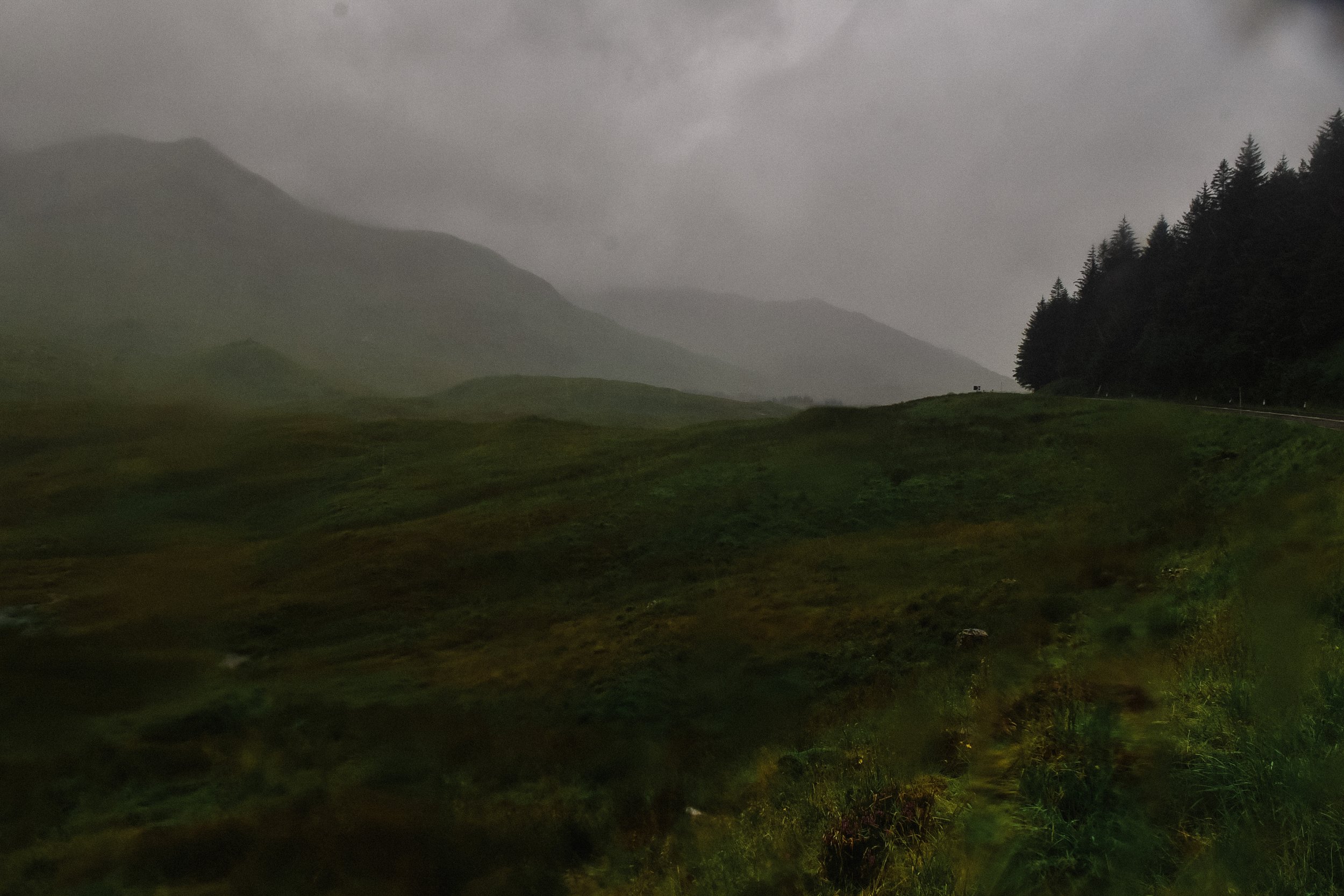 DSC_3536.jpg