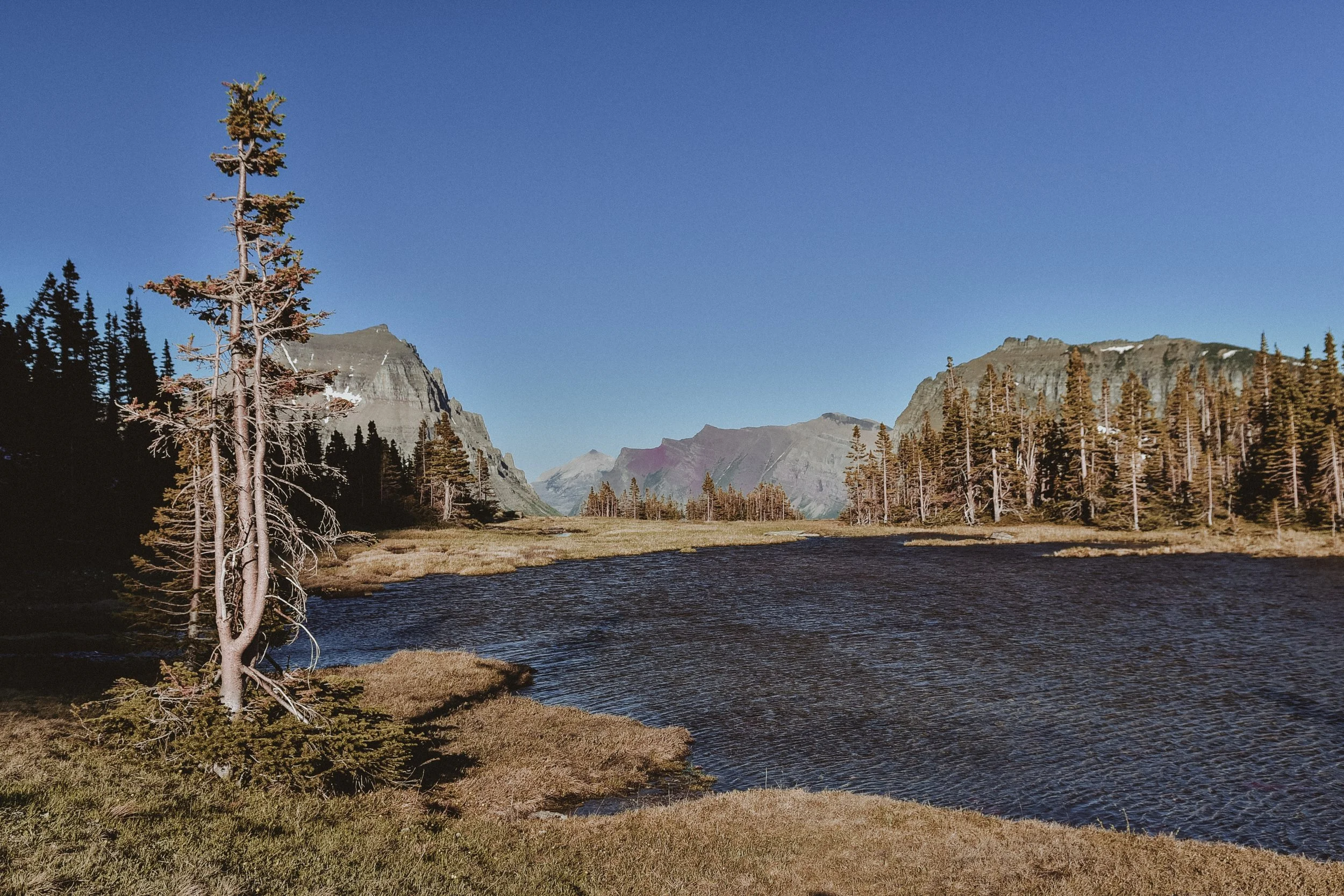 DSC_8036.jpg