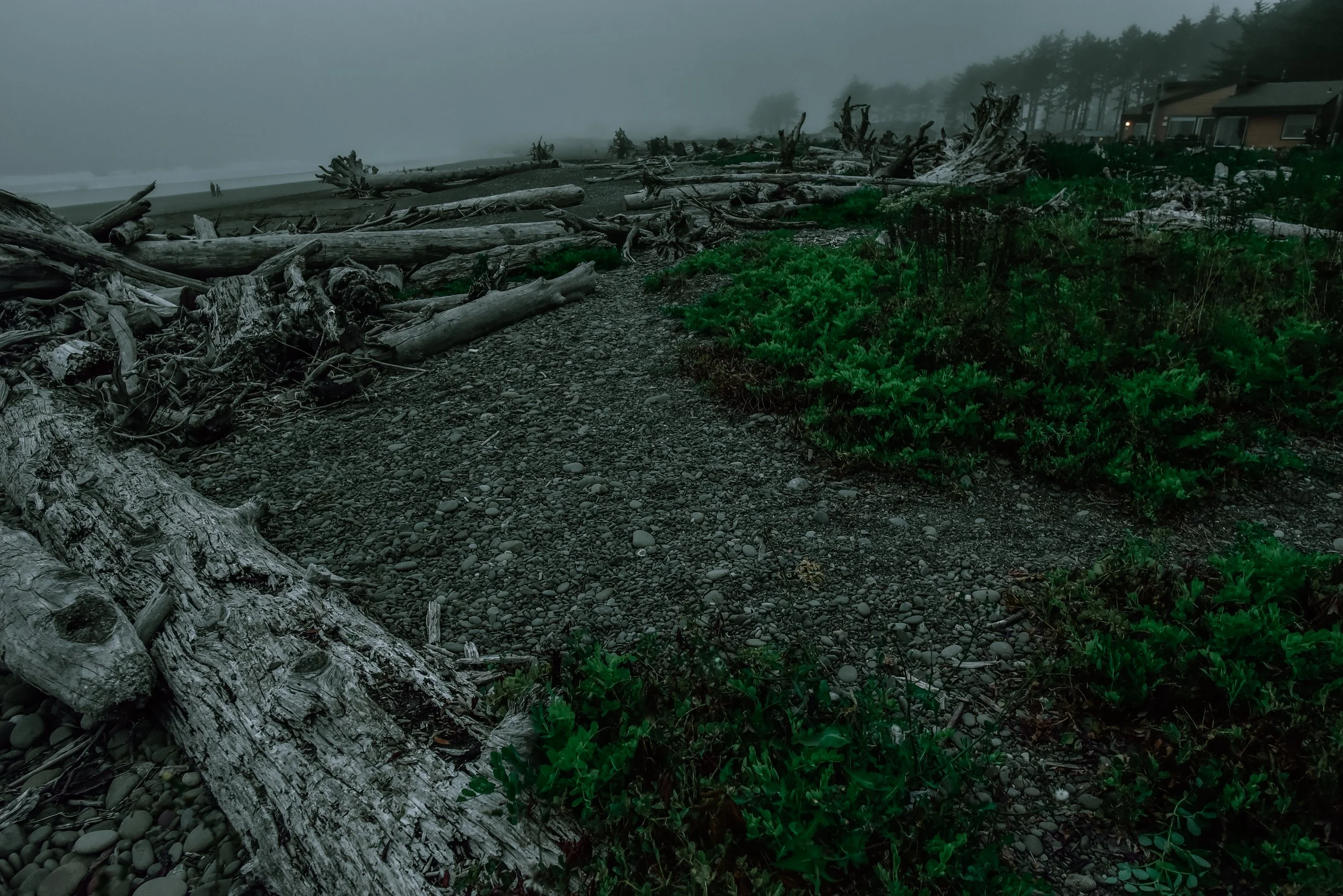 _DSC6598.jpg
