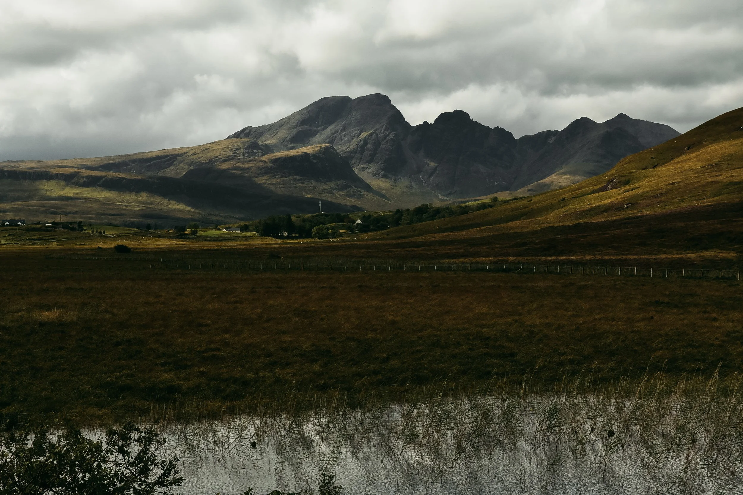 DSC_1375.jpg