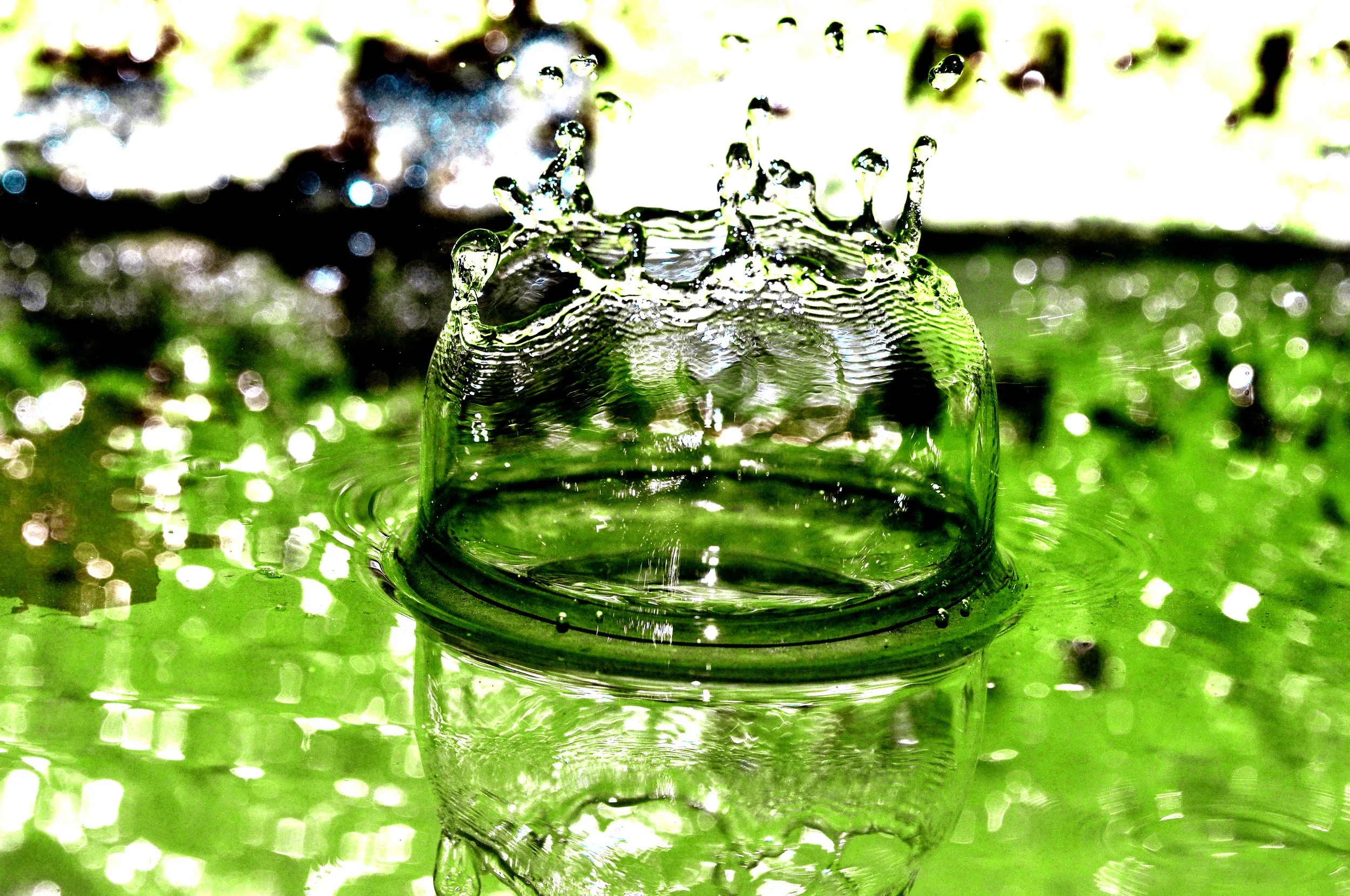 _DSC02334.jpg