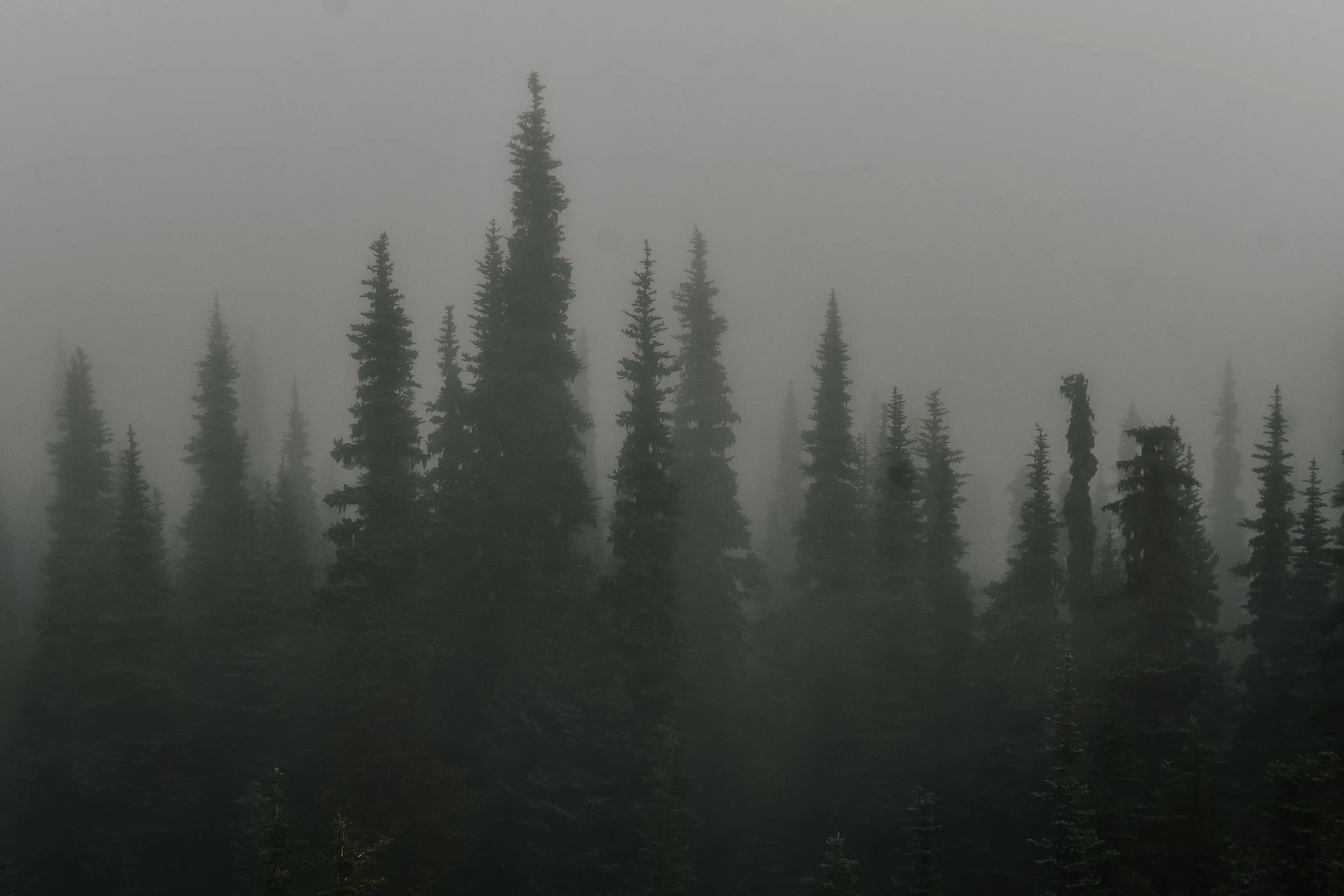 DSC_6637.jpg