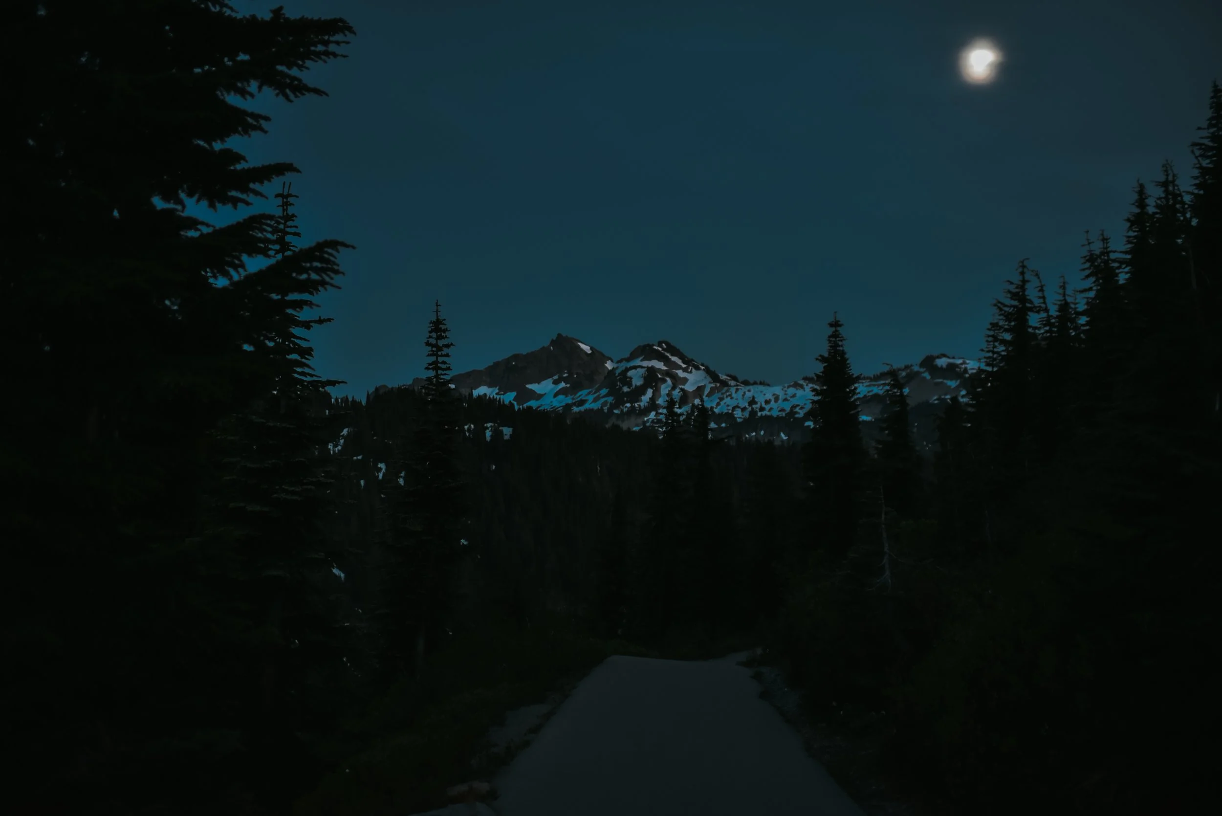 DSC_3947.jpg