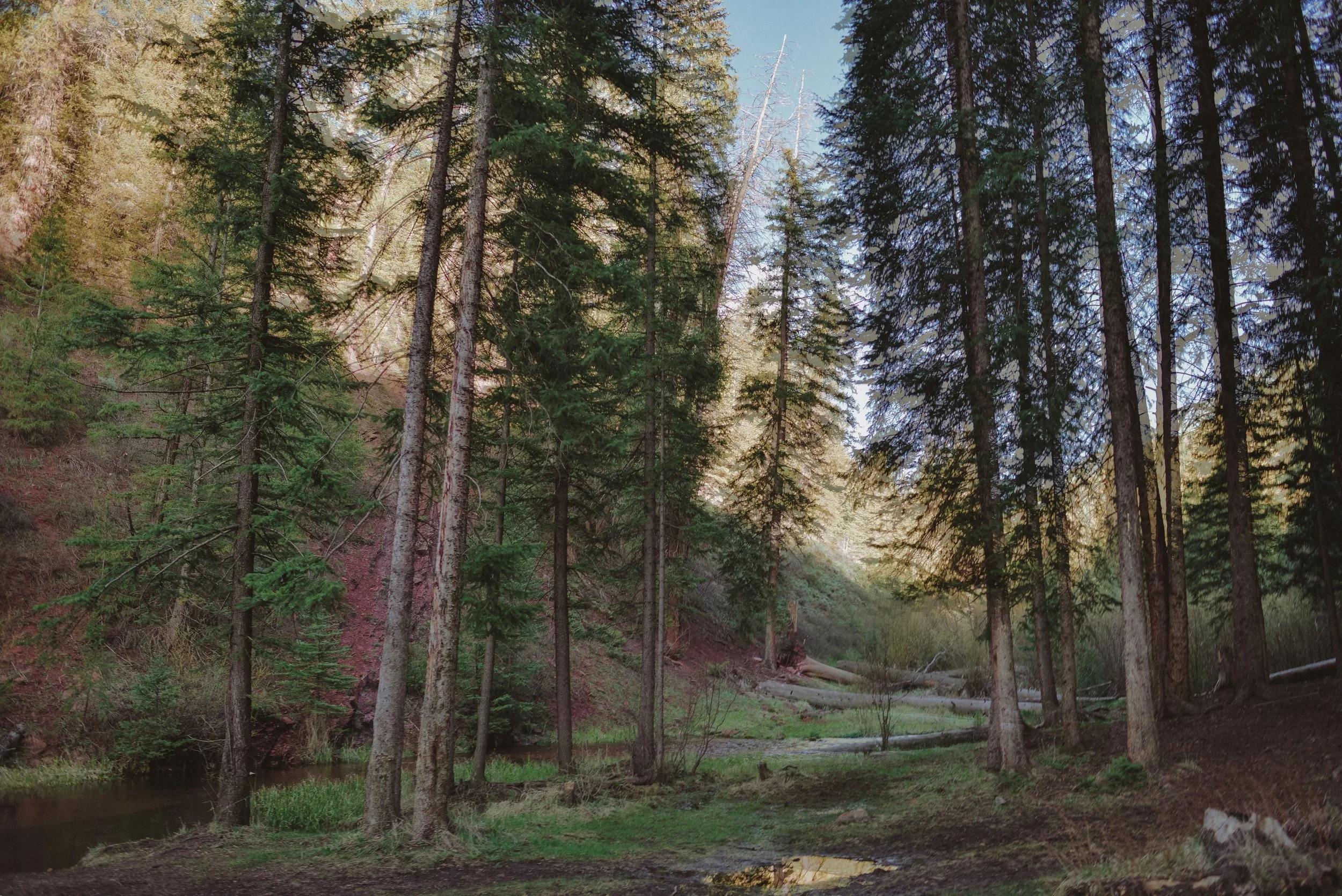DSC_1218-2.jpg