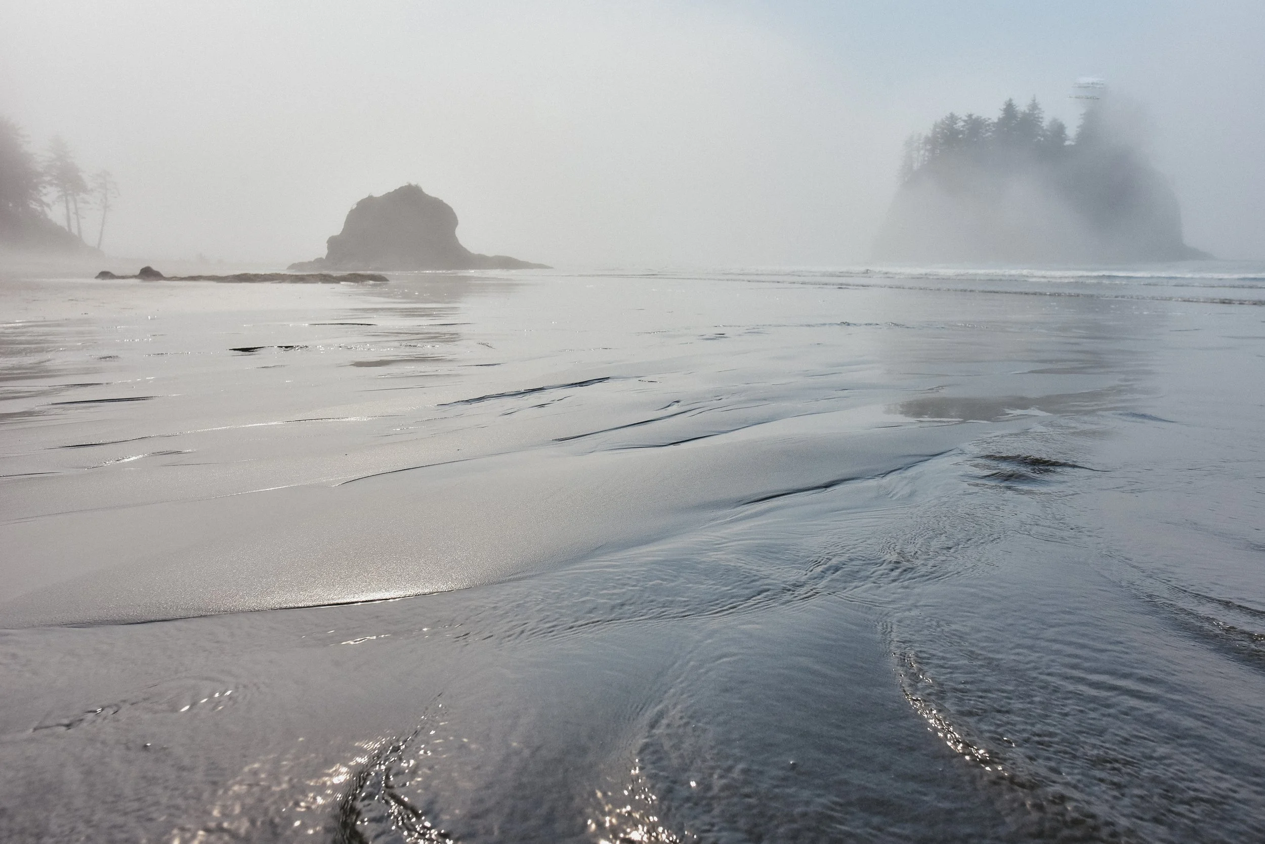 _DSC5603.jpg