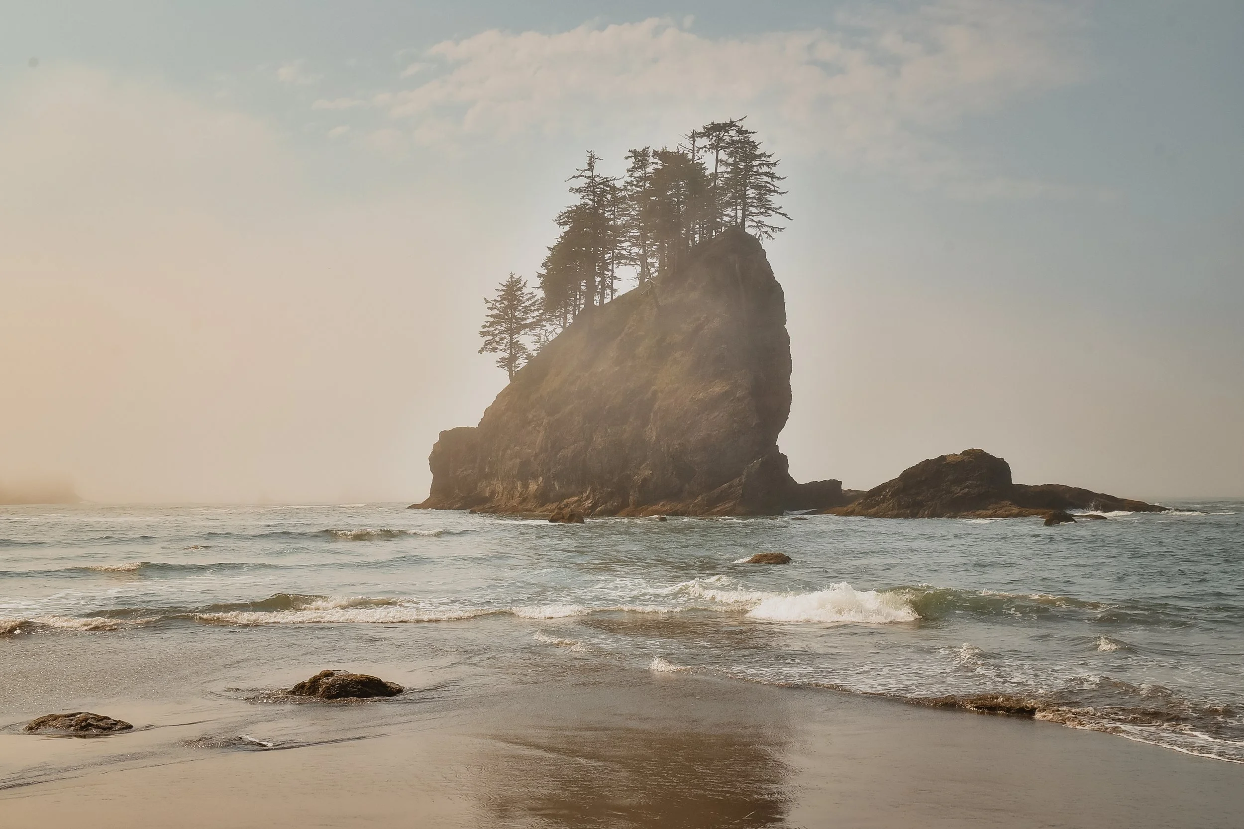 _DSC6175.jpg