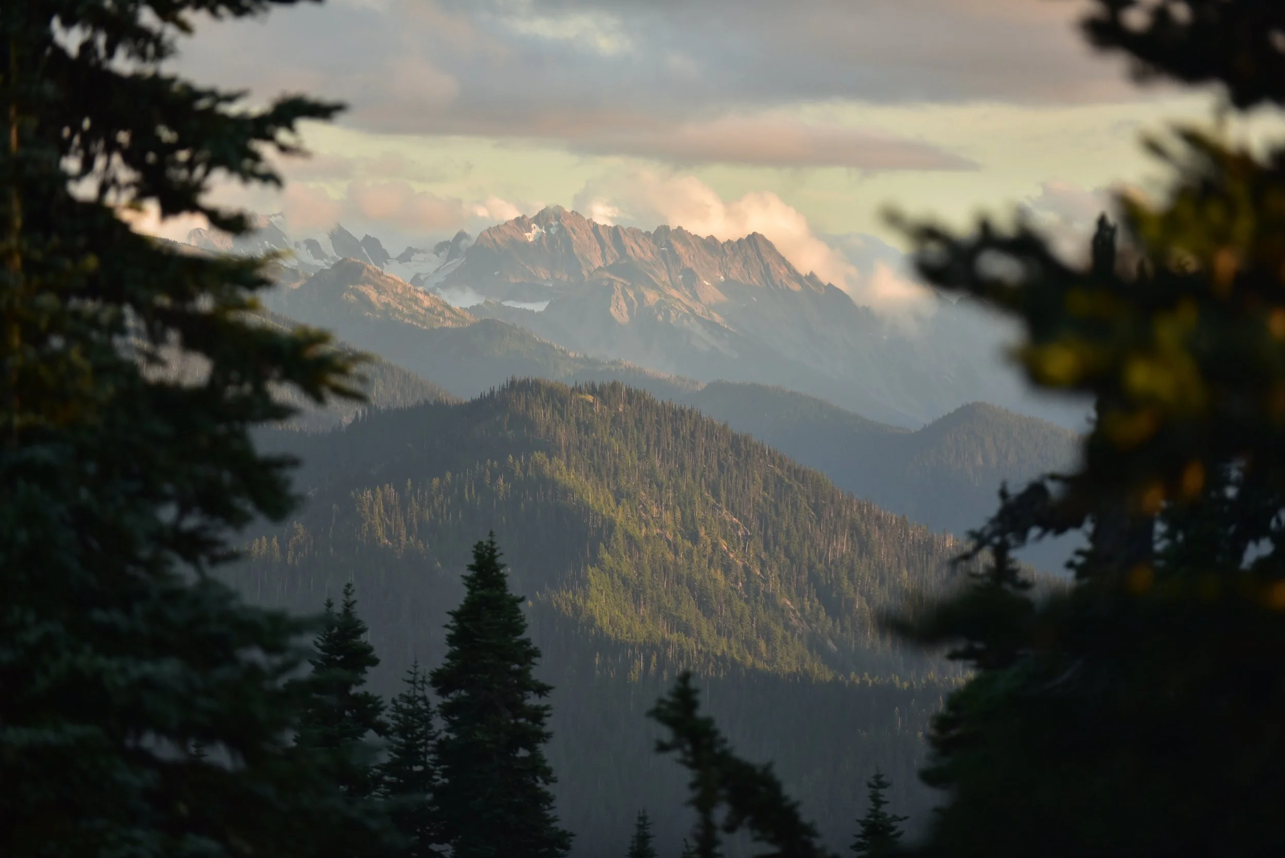 DSC_5814.jpg