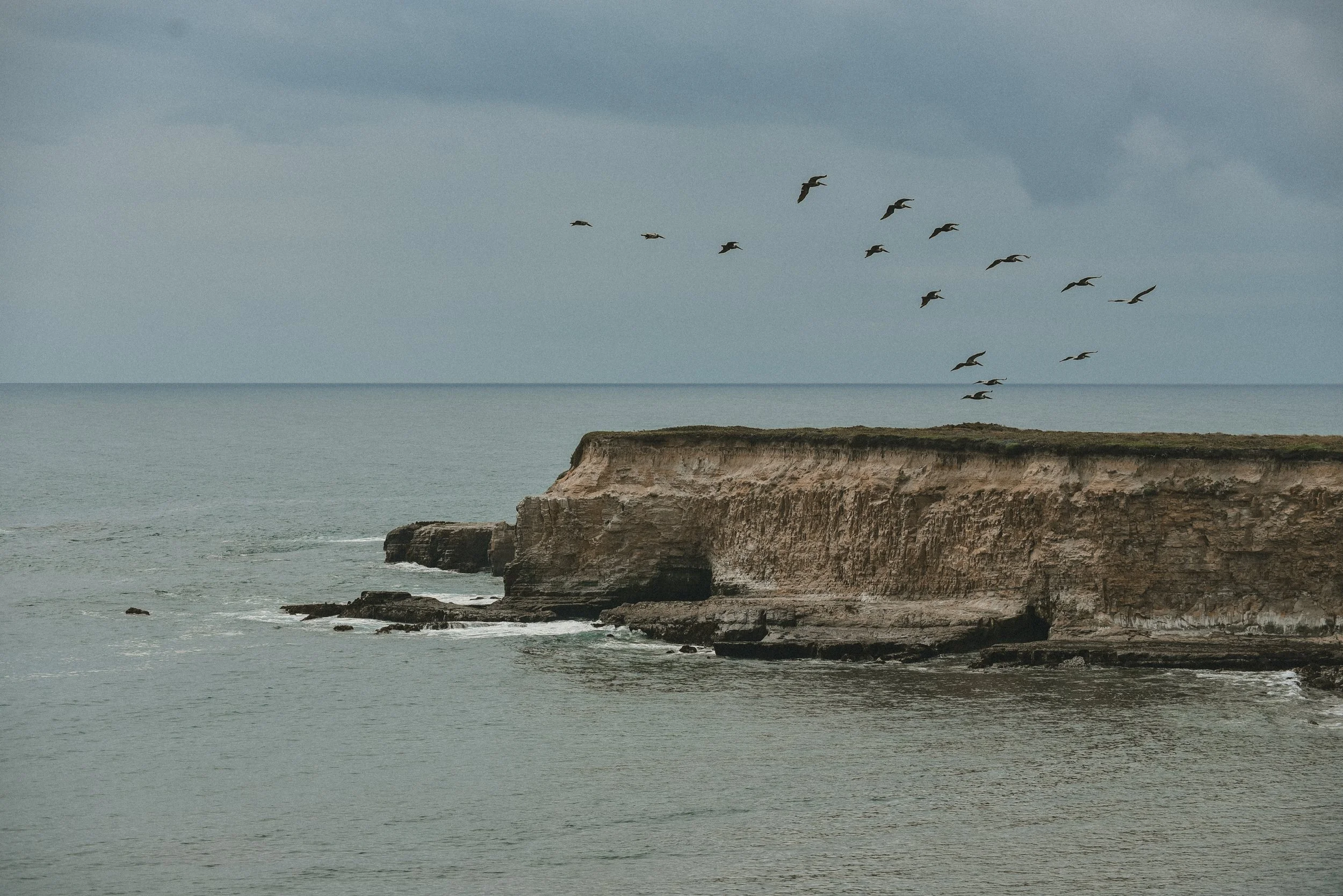DSC_9851.jpg