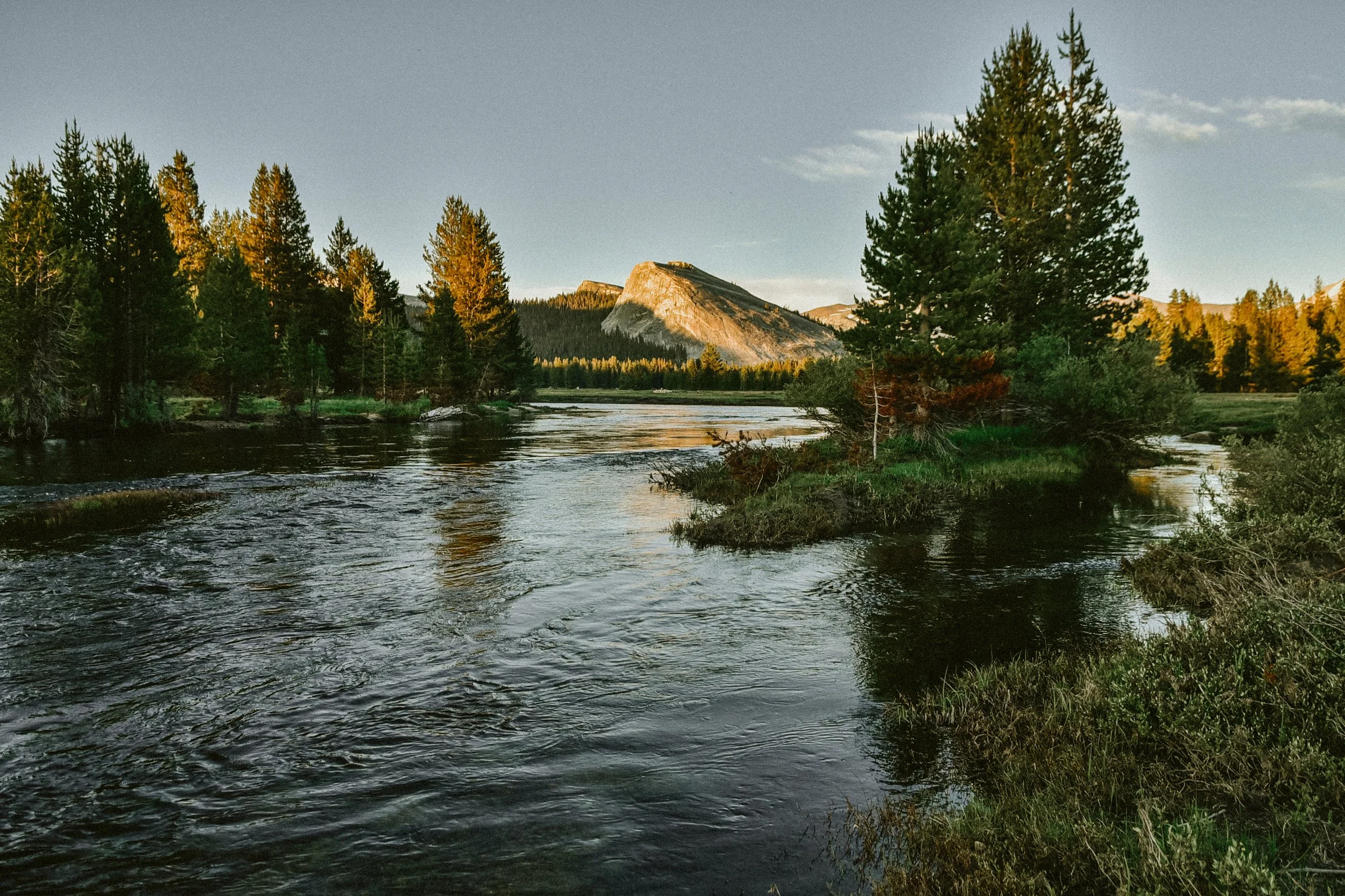 _DSC9115.jpg