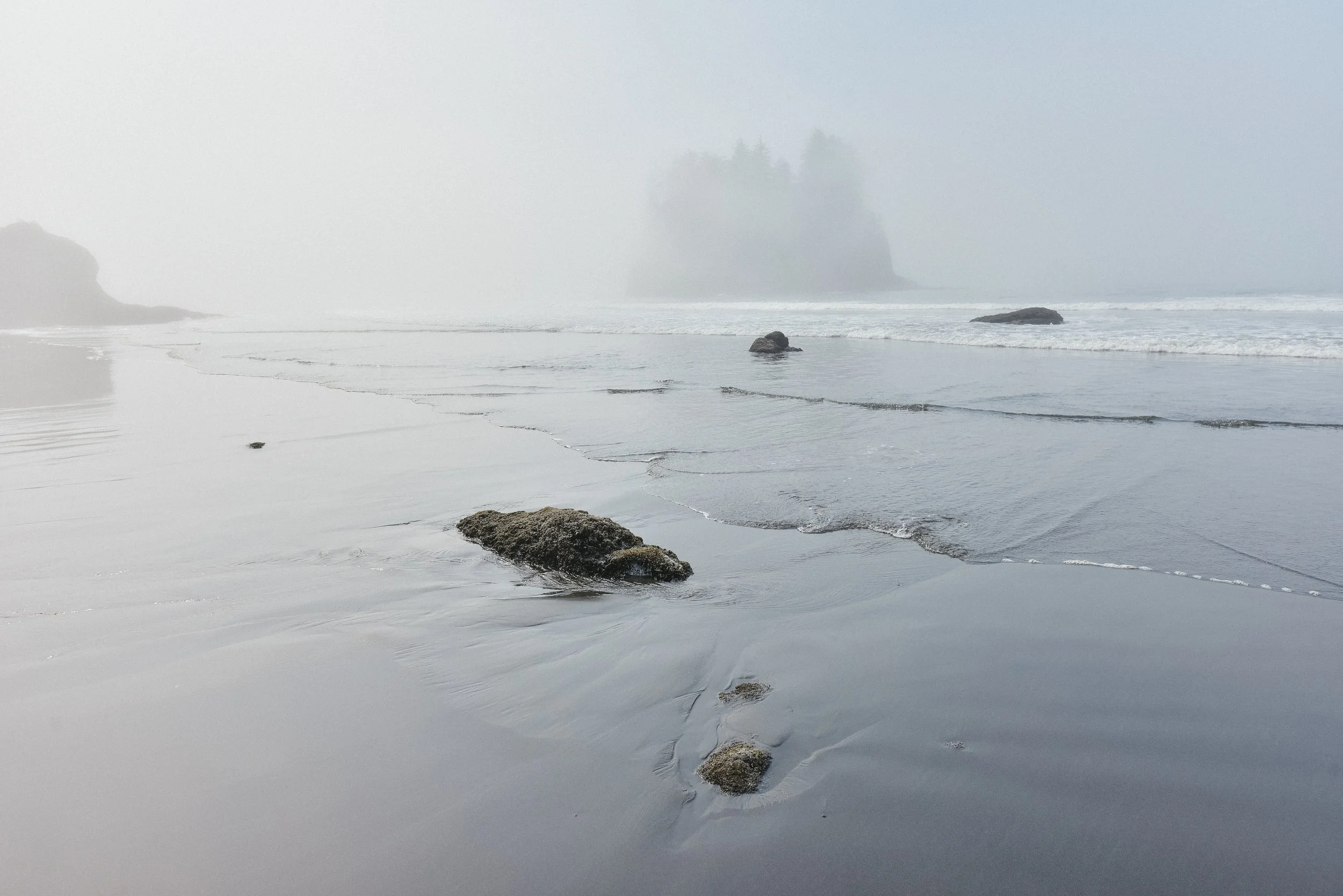 _DSC5581.jpg