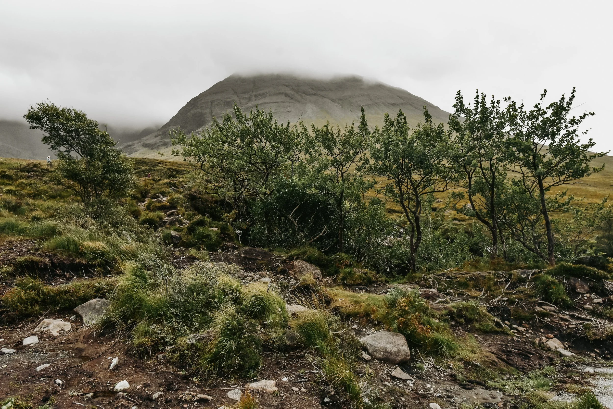 DSC_1023.jpg