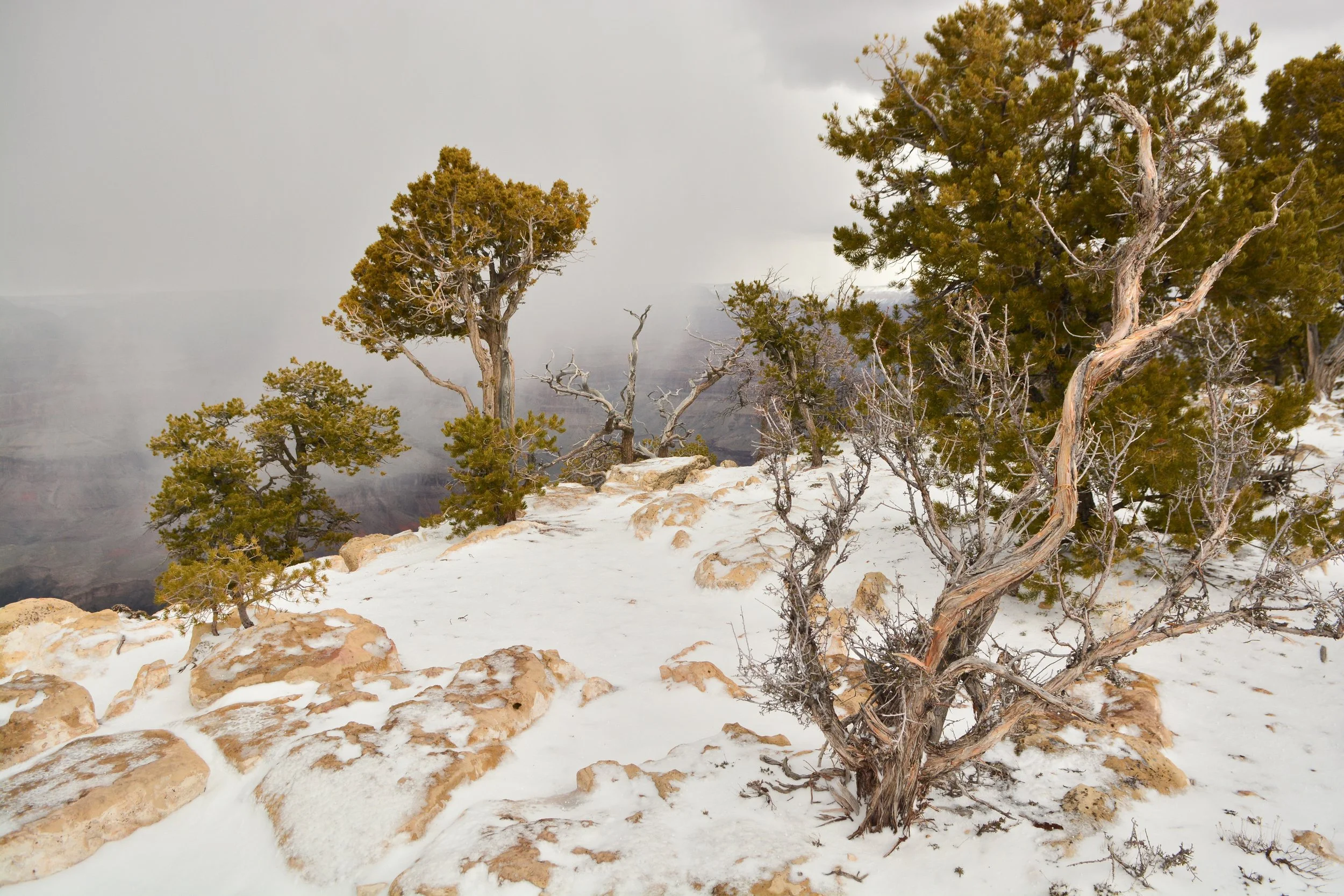 DSC_7028.jpg