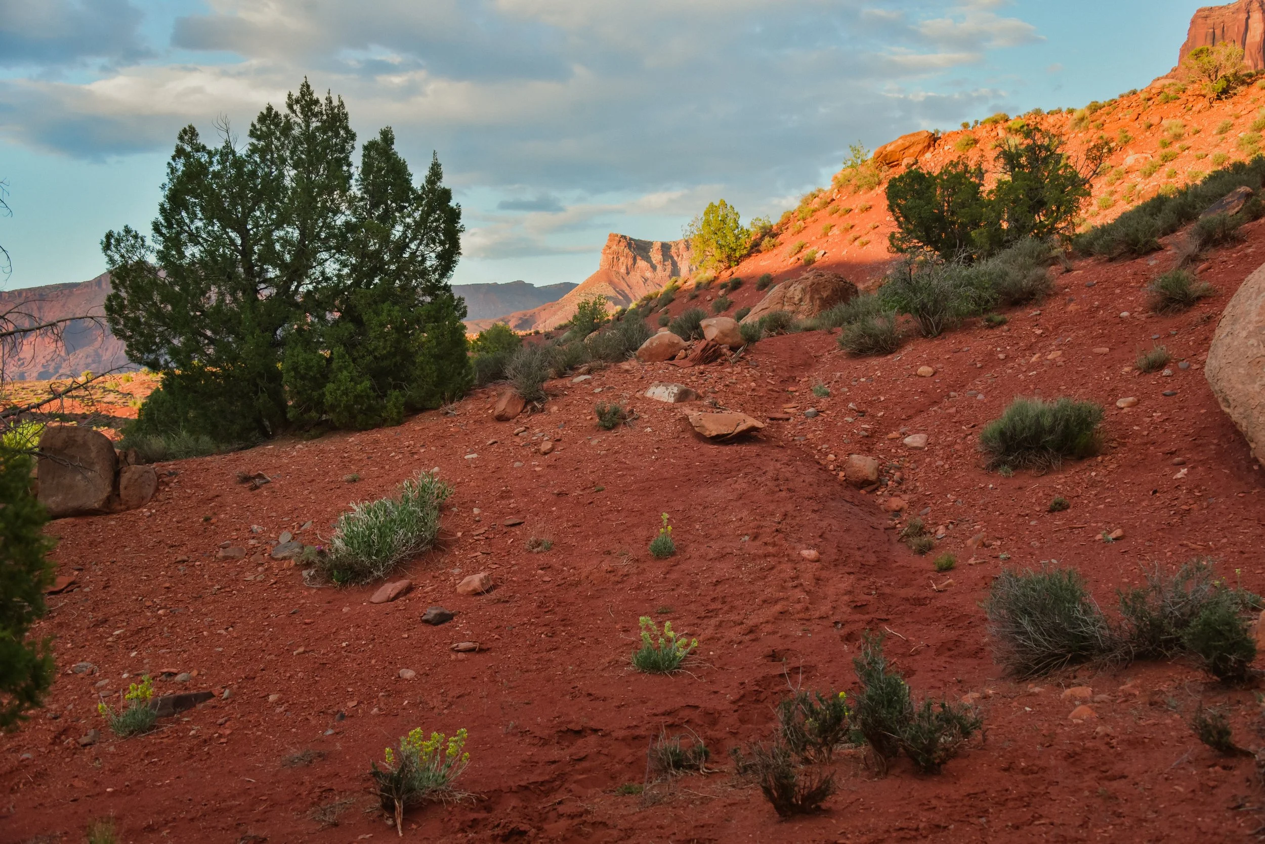 DSC_0962.jpg