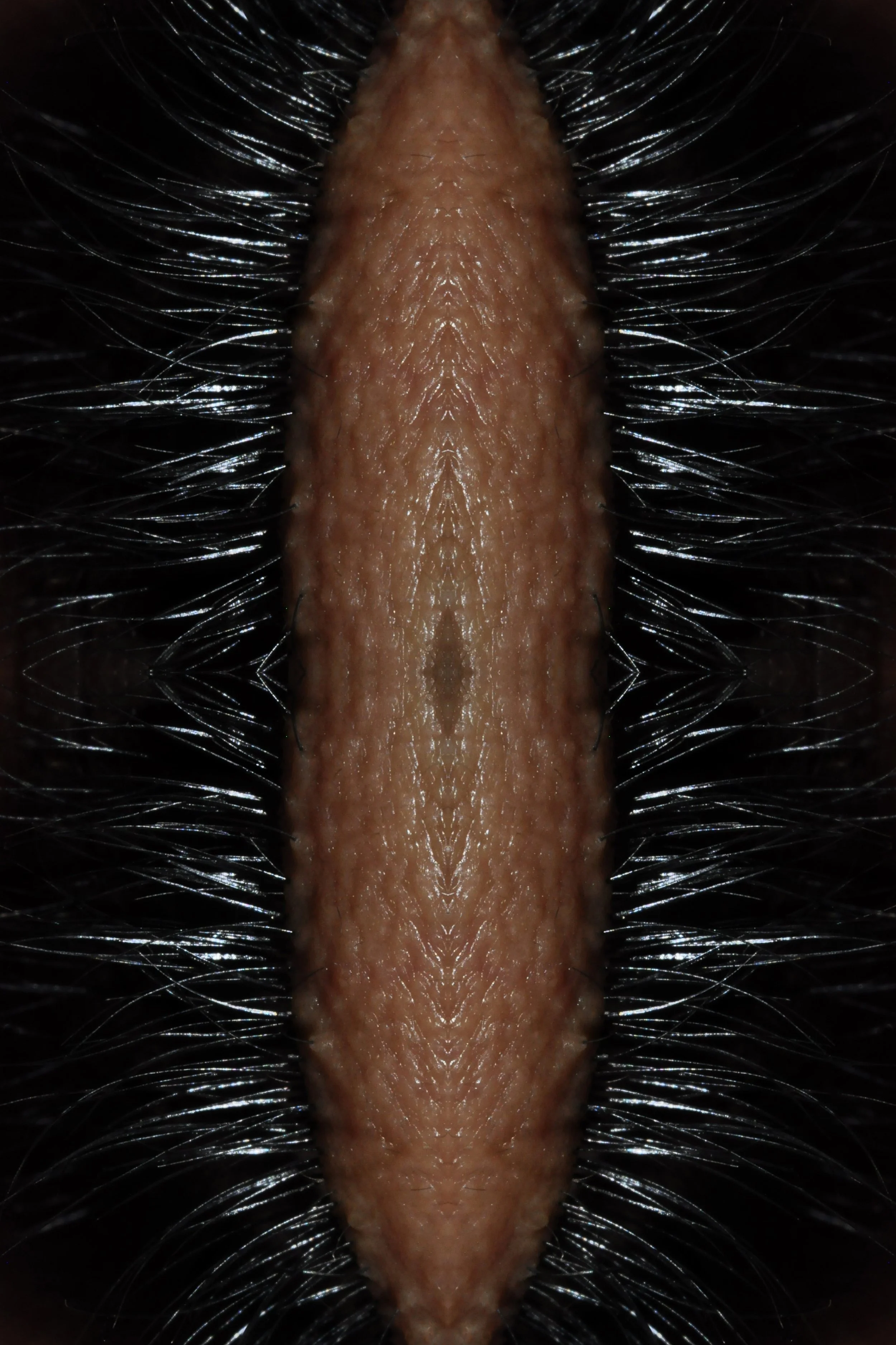 _DSC079092small.jpg