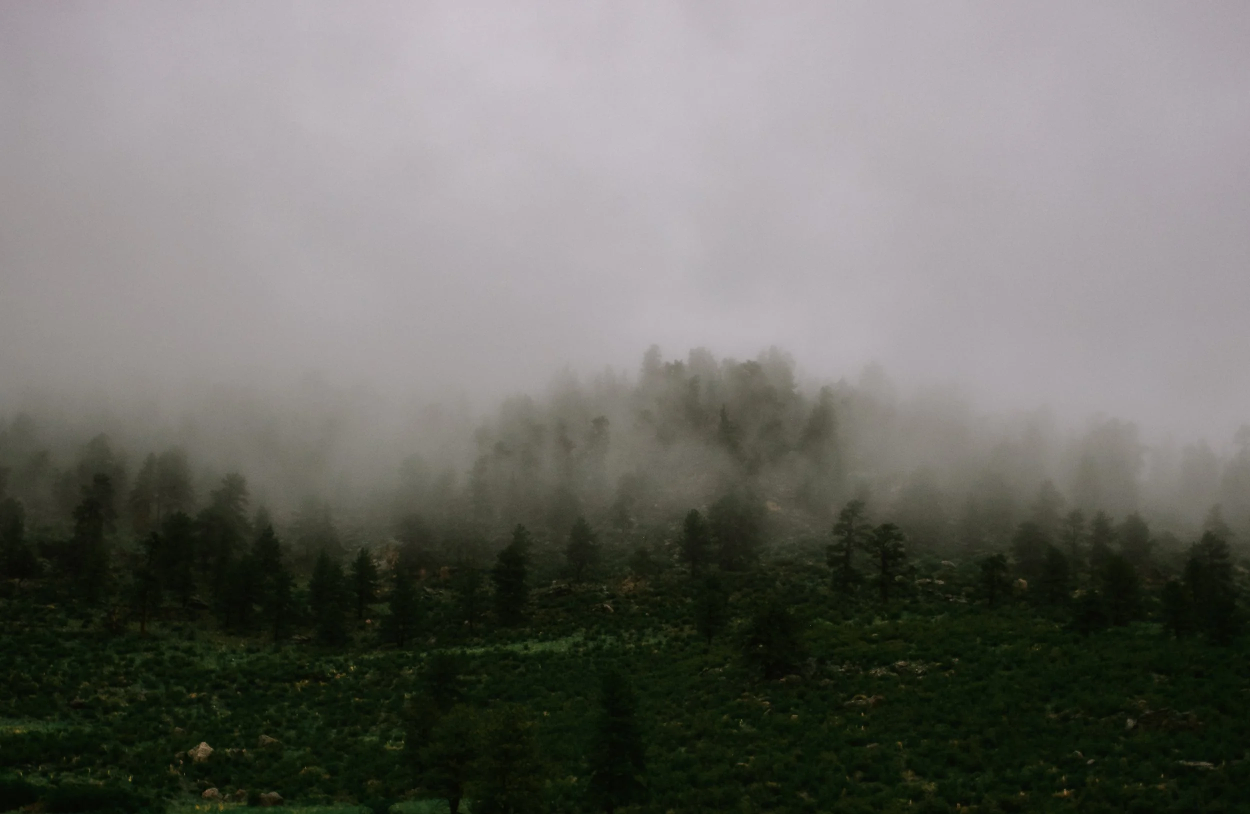 DSC_9266.jpg