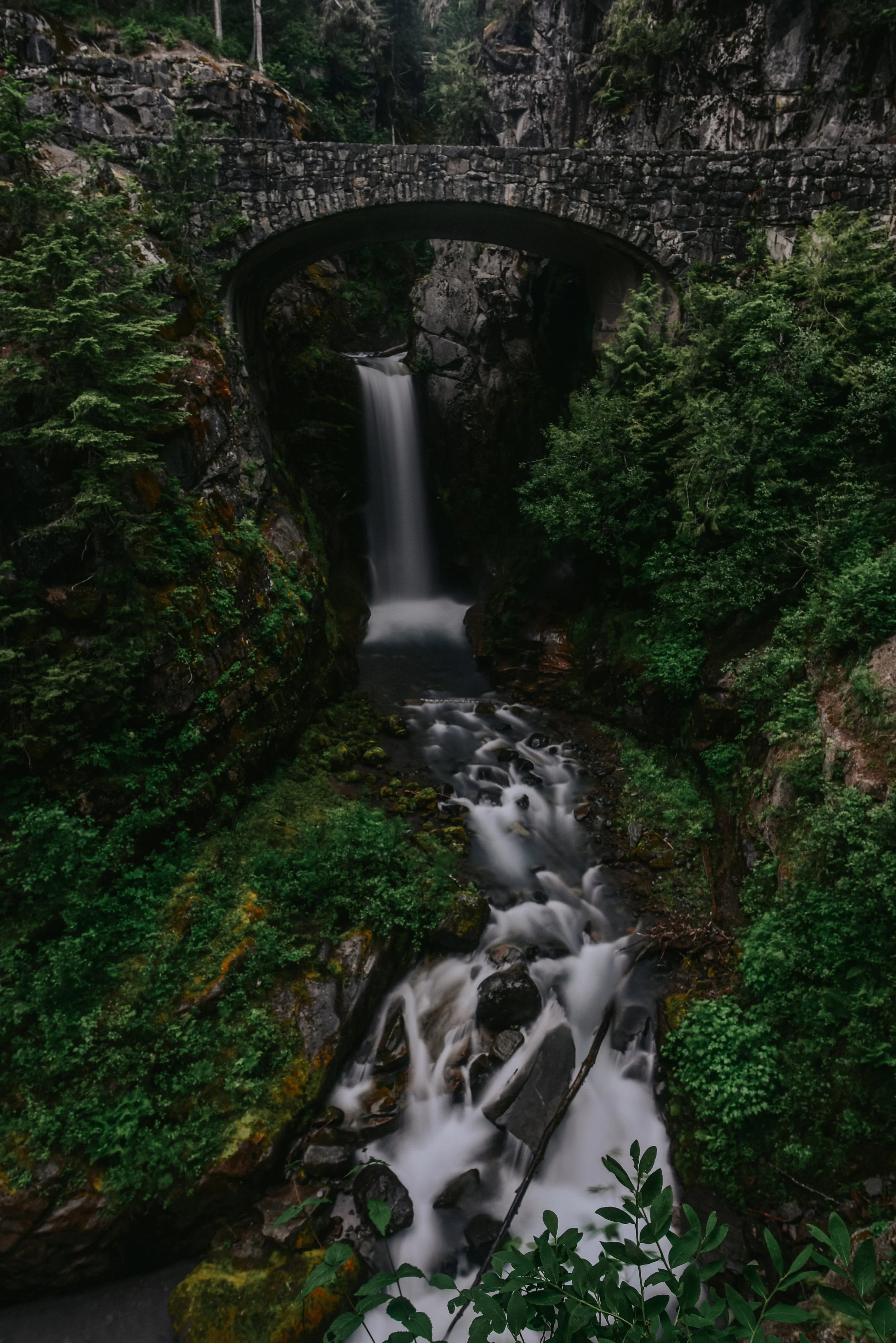 DSC_2251.jpg