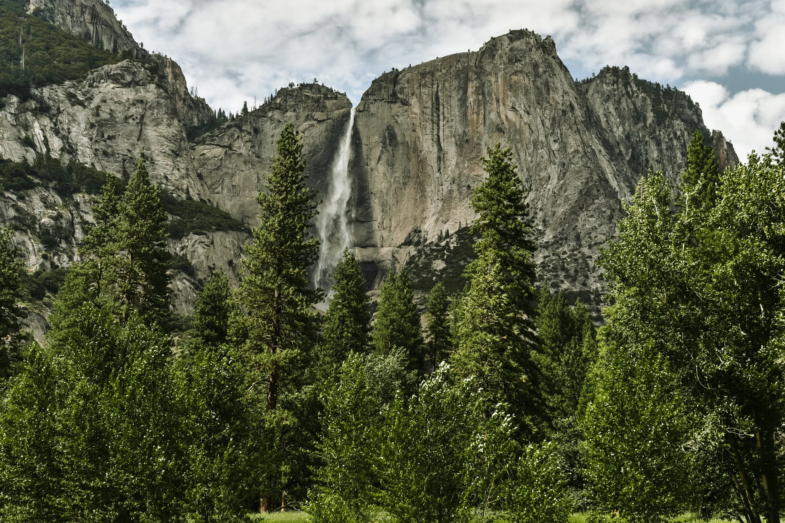 _DSC7306.jpg