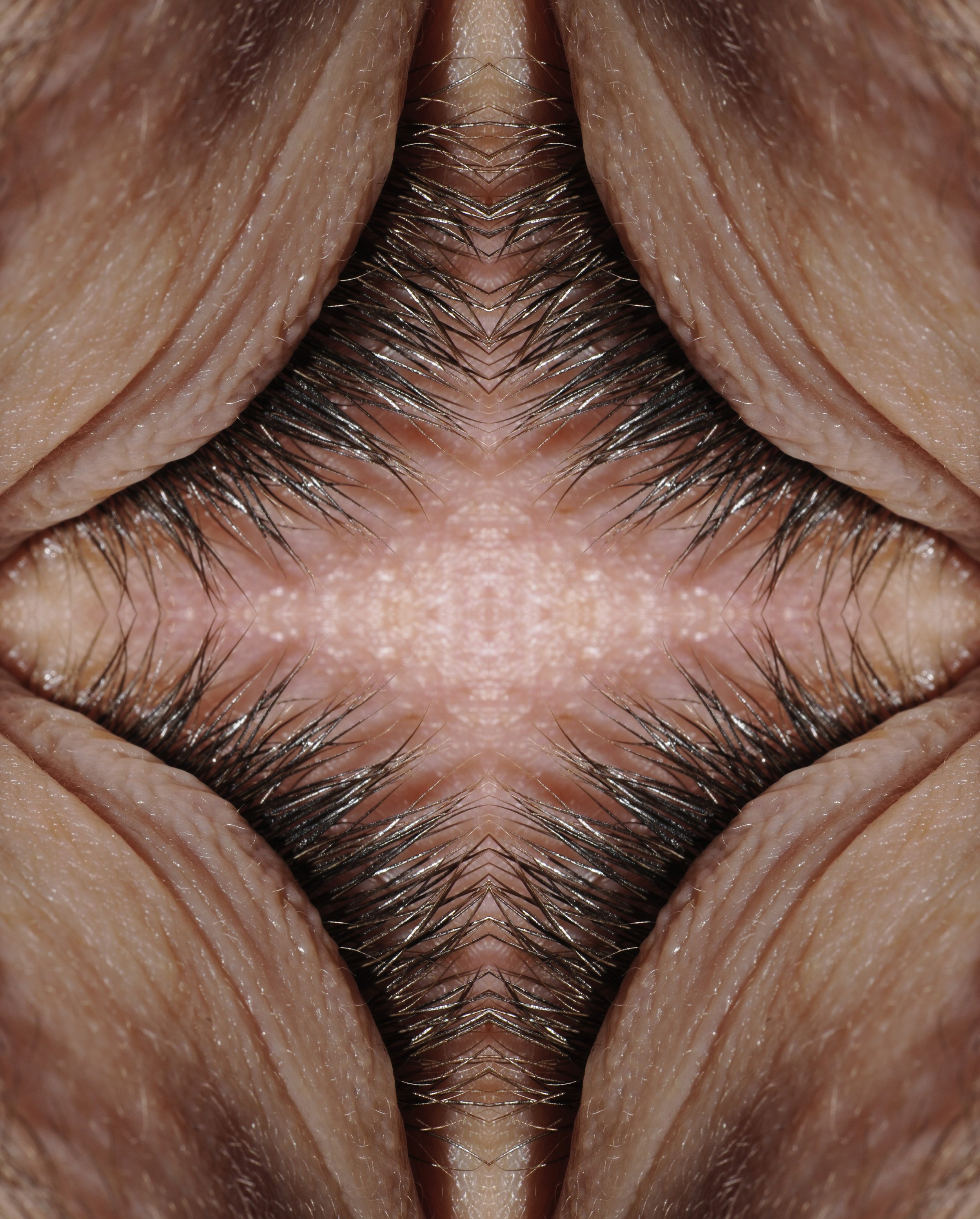 _DSC087923456small.jpg