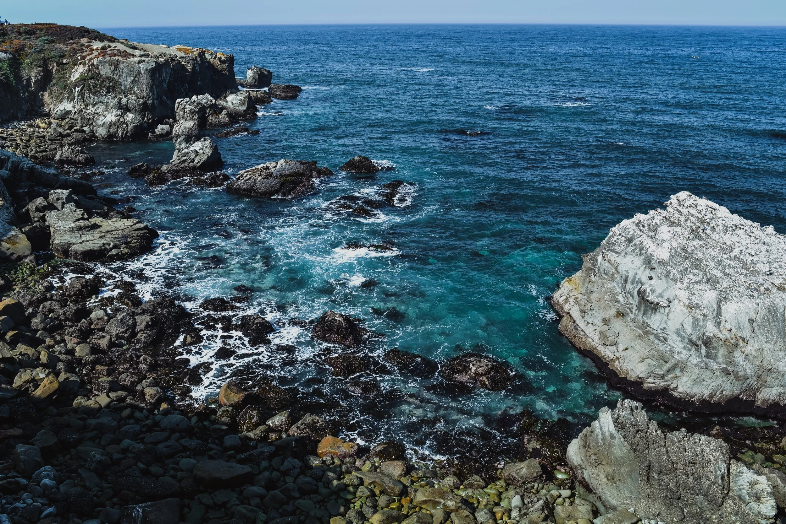 DSC_3523.jpg