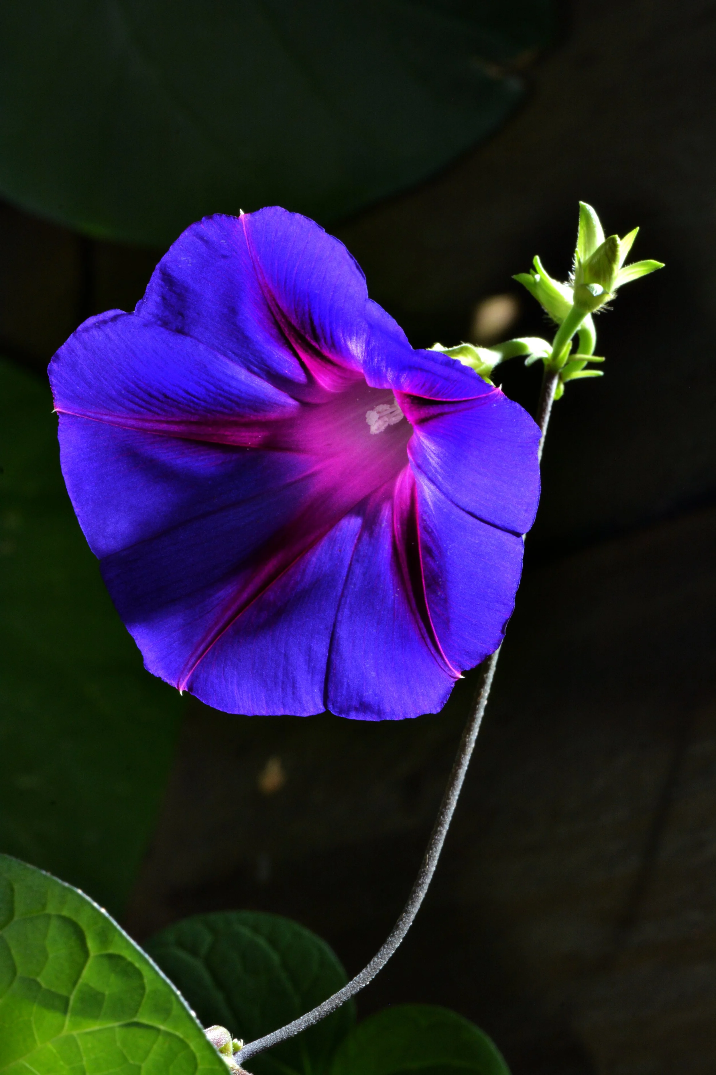DSC_6913j.jpg