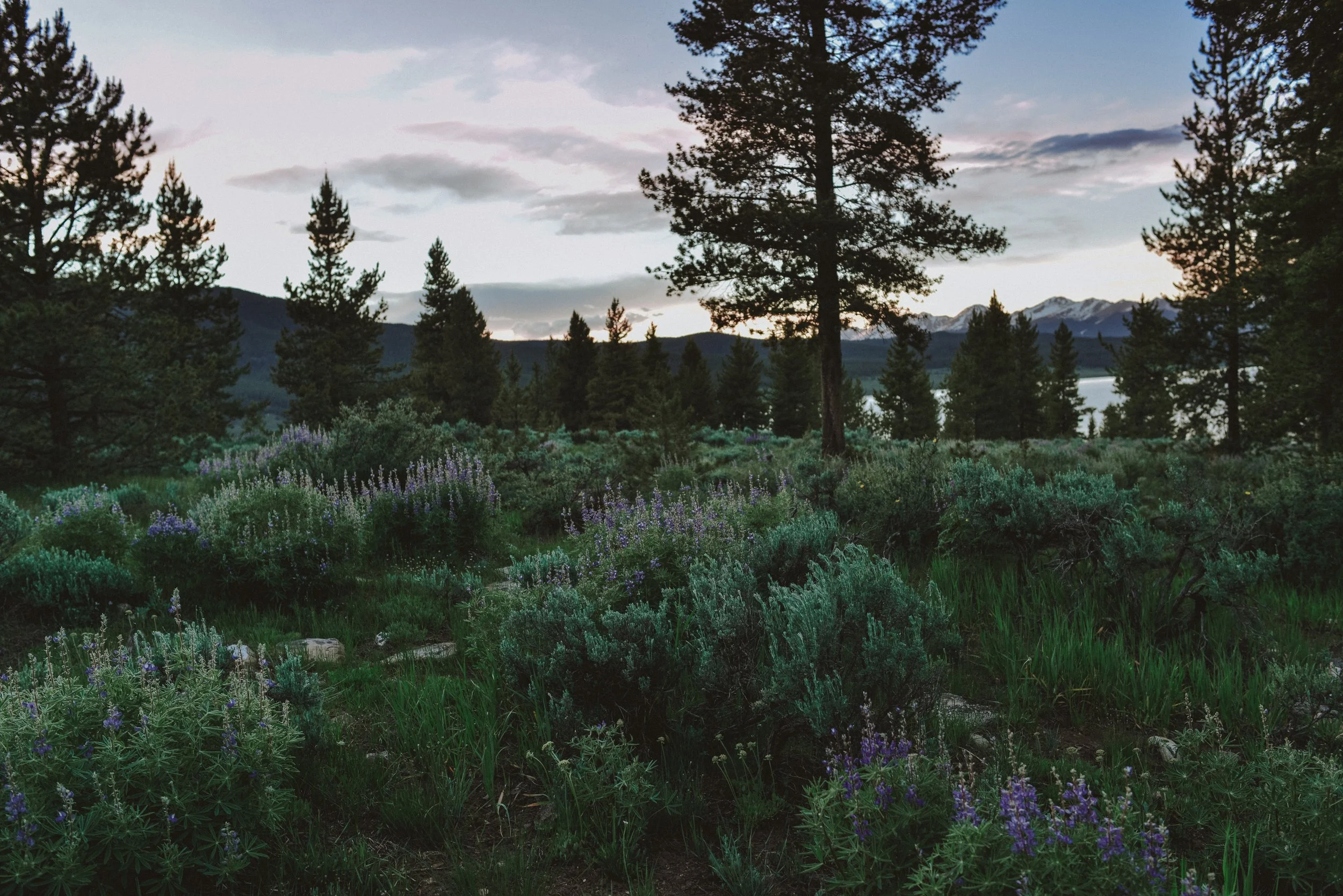DSC_7568-2.jpg