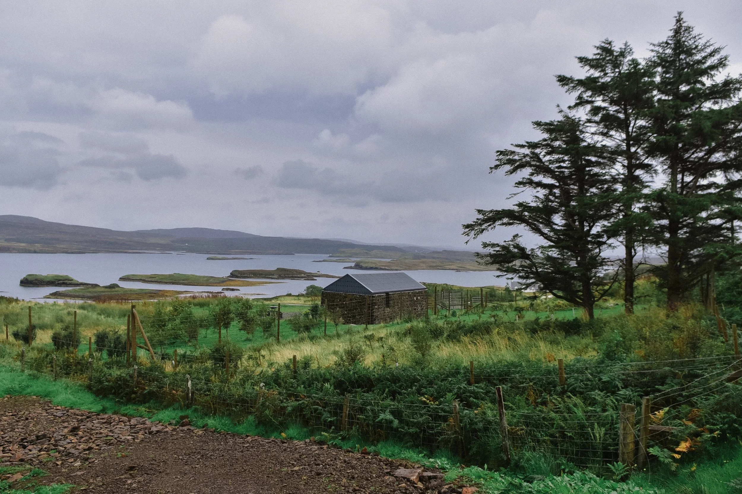 DSC_2374.jpg