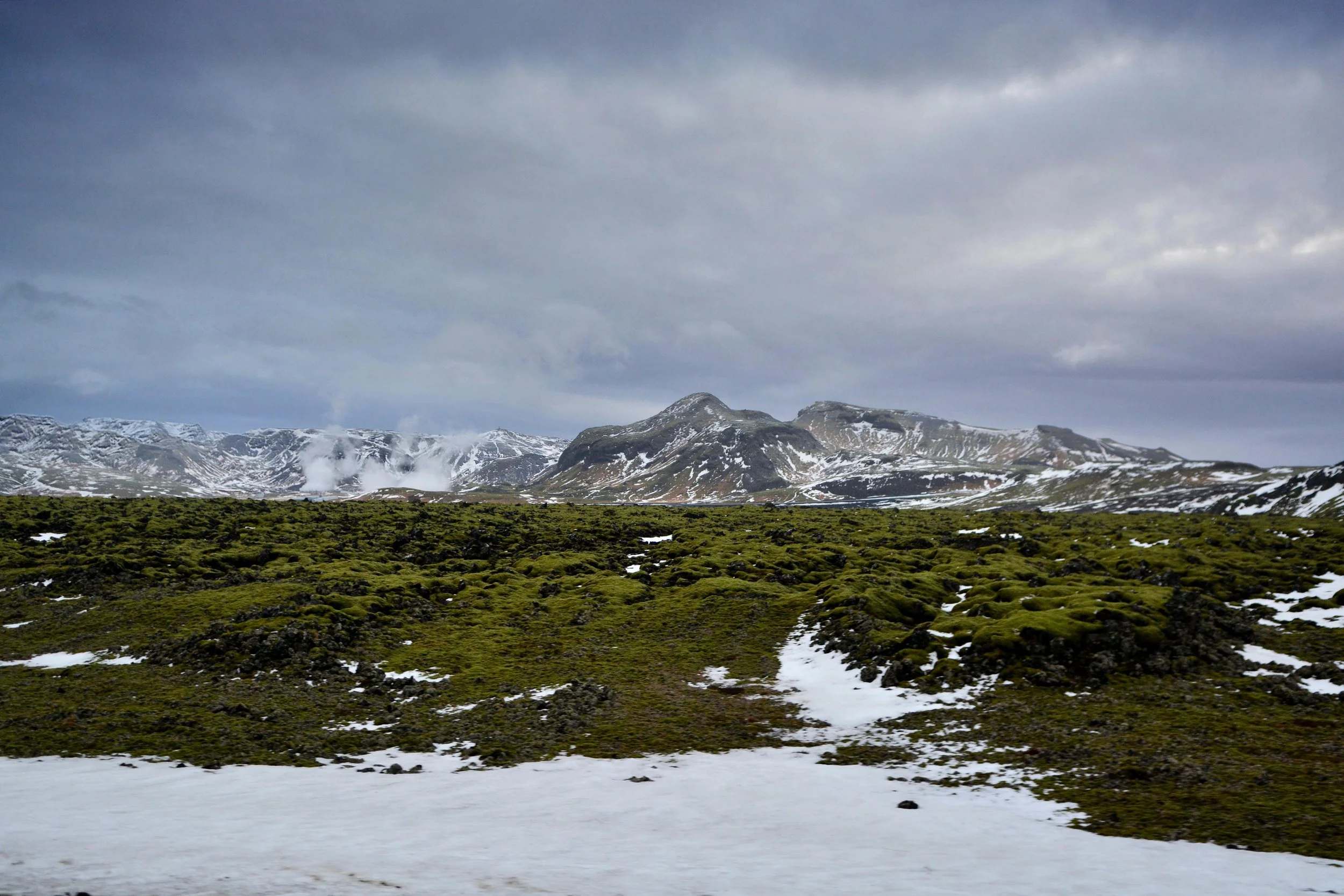 DSC_7153sml.jpg