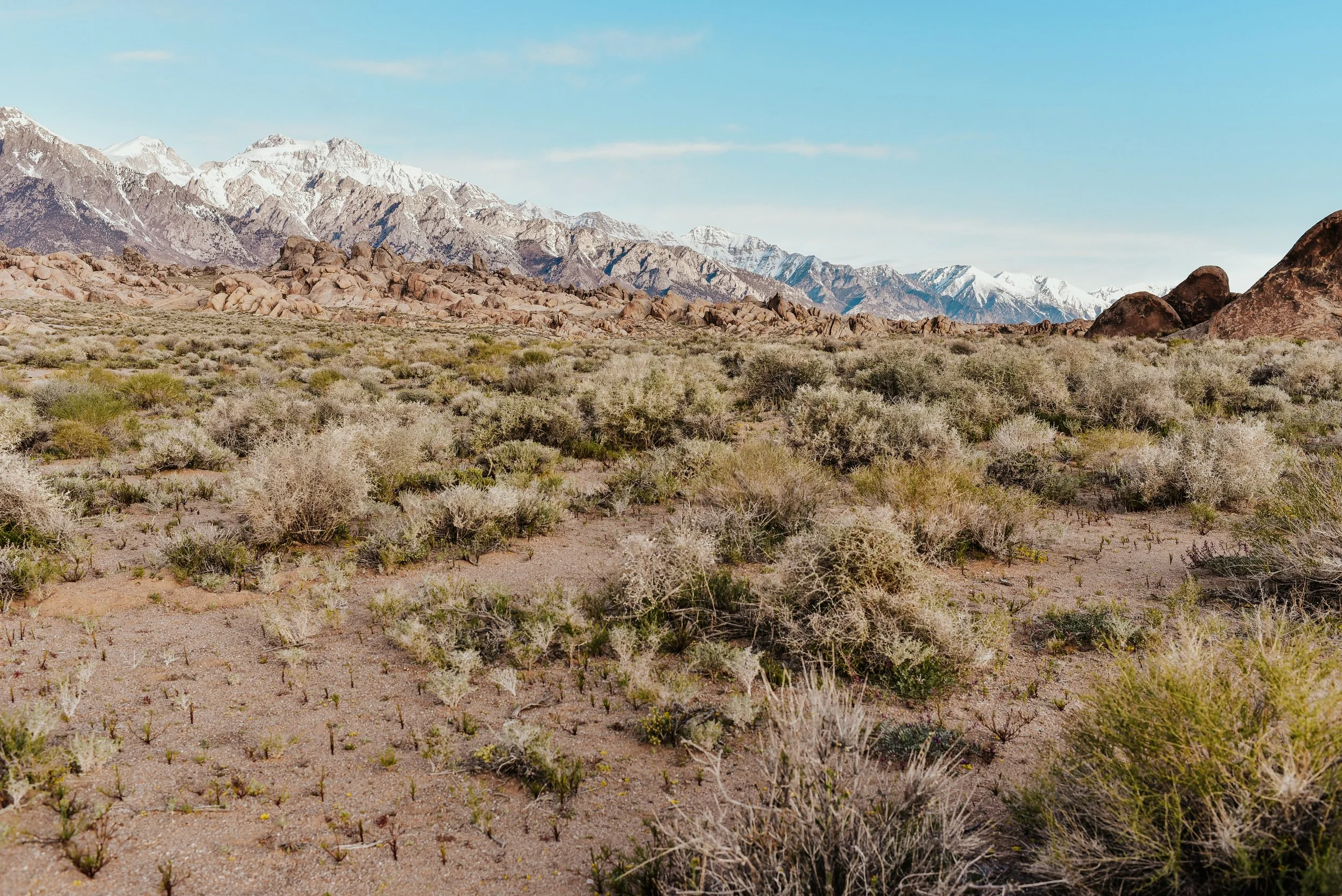 _DSC7262.jpg