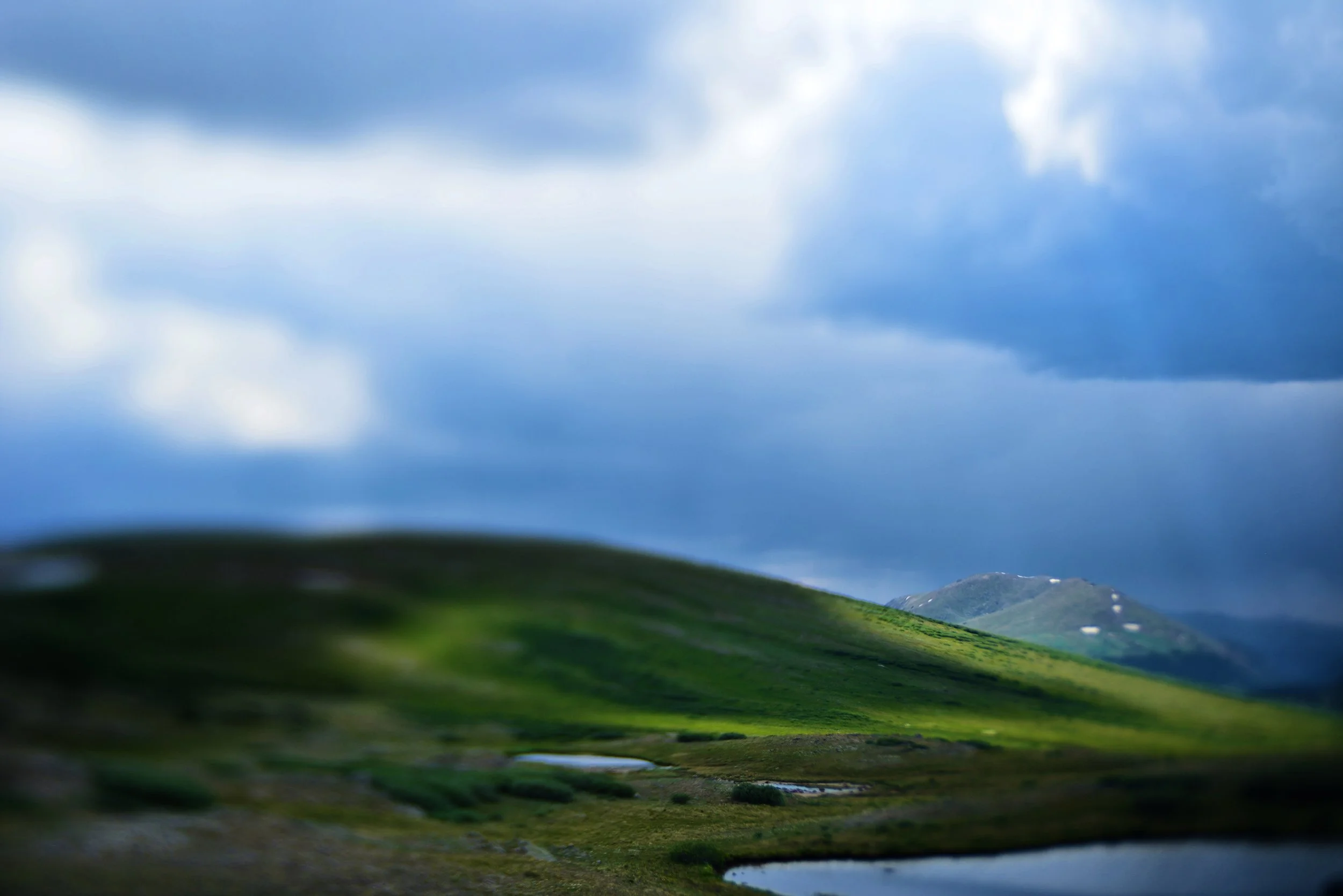 DSC_8322sml.jpg