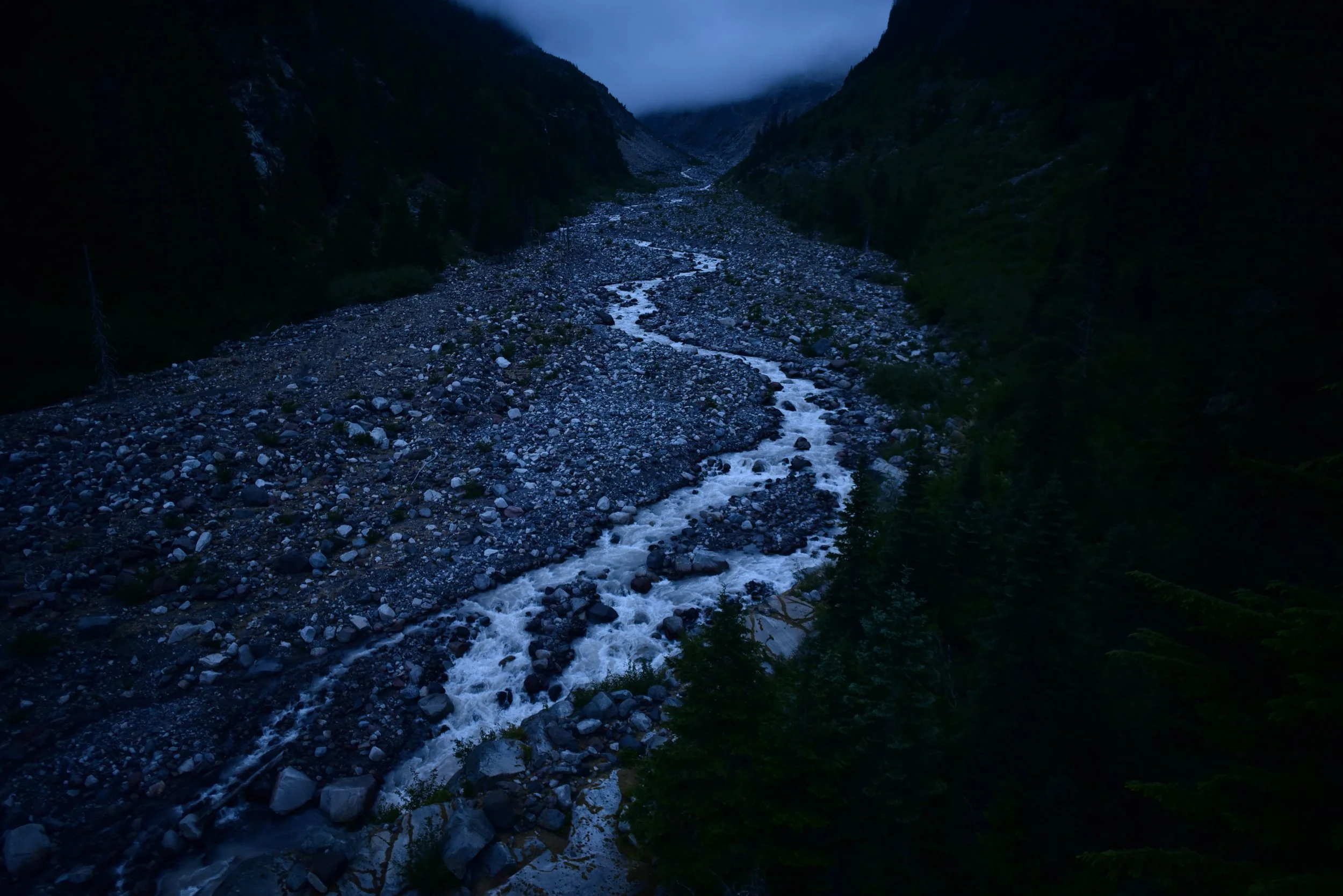 DSC_2295.jpg