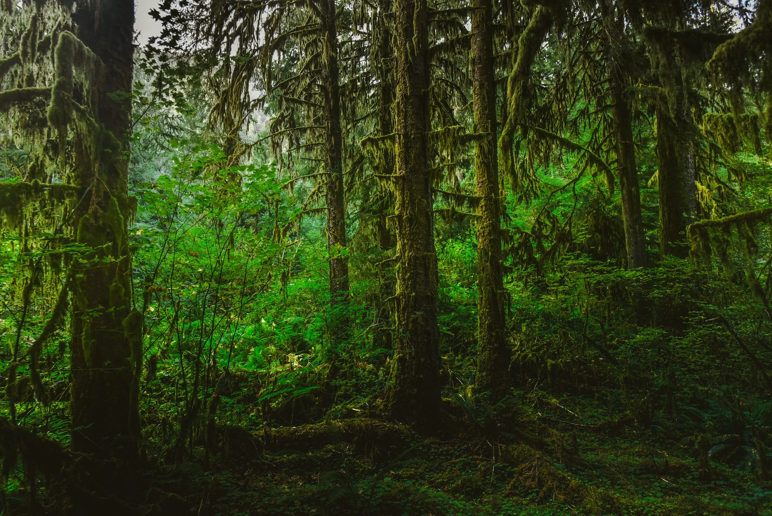 DSC_5043.jpg