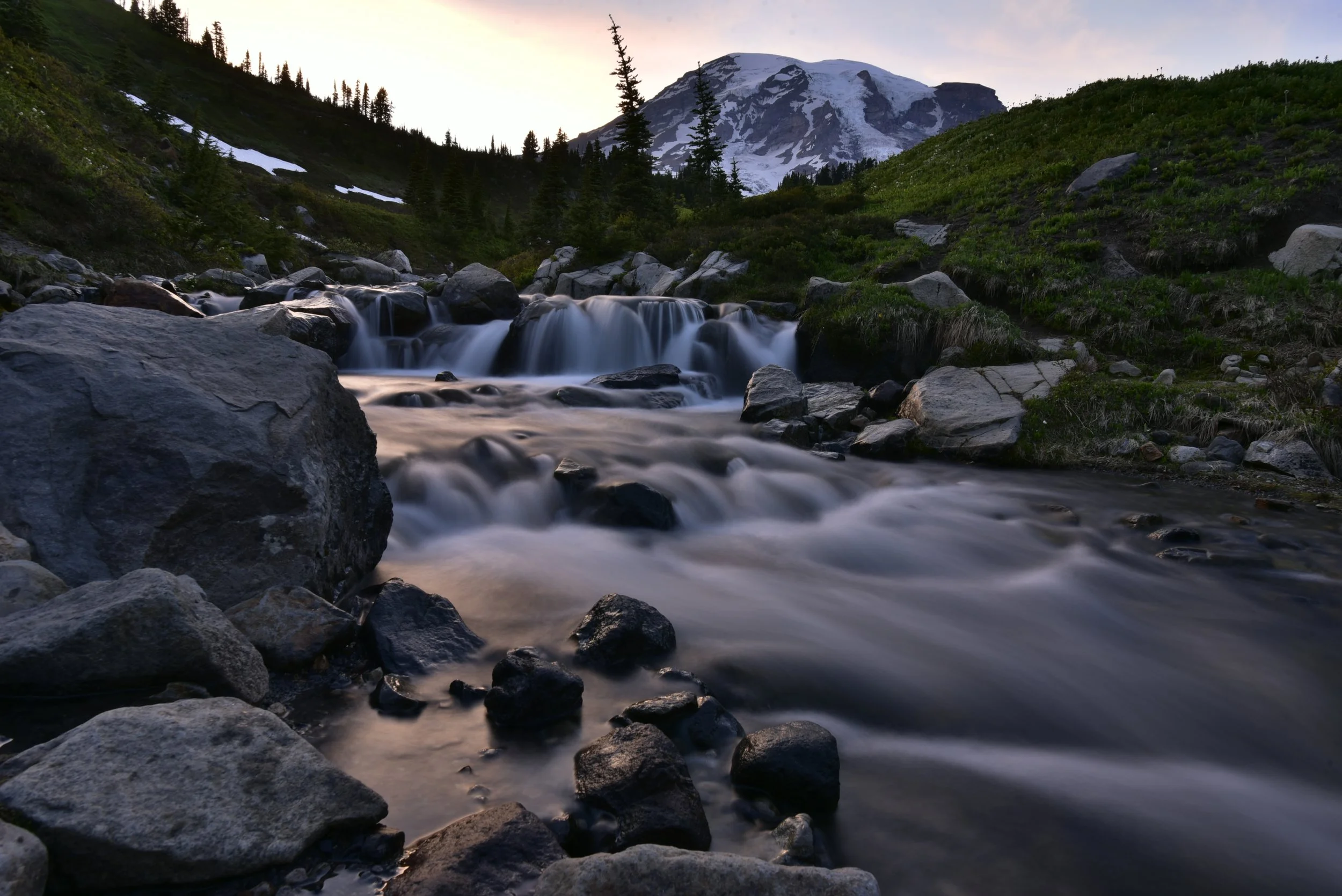 _DSC7020.JPG