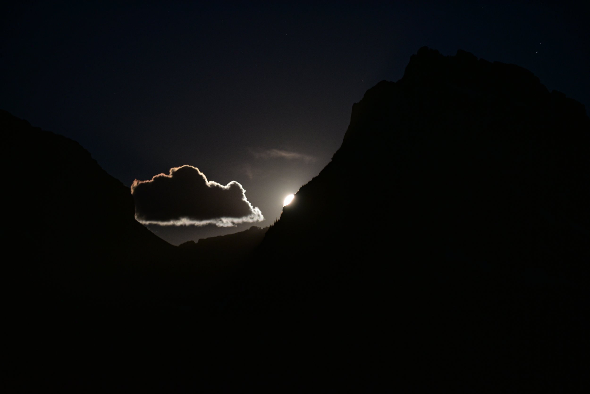 DSC_7447.jpg