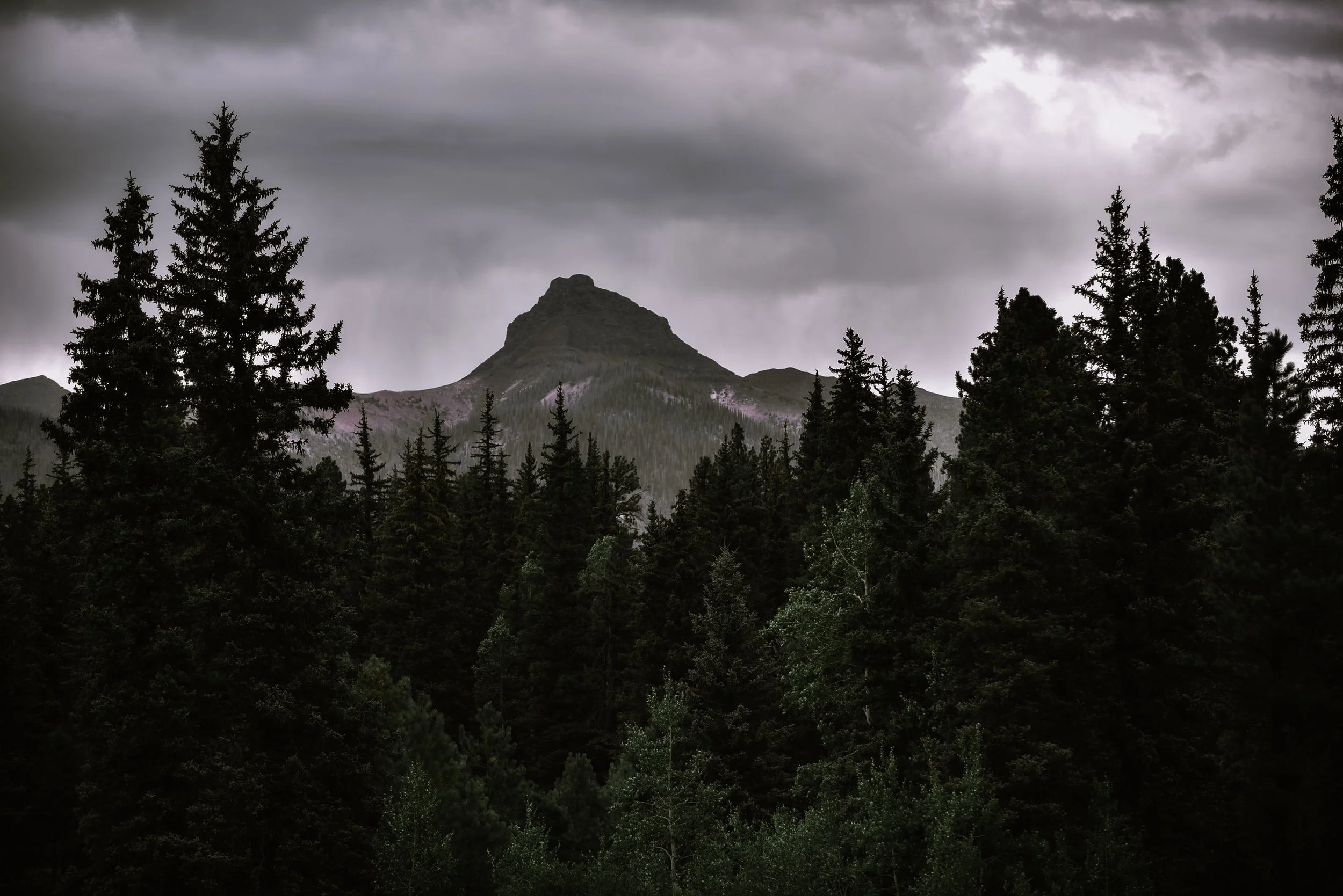 DSC_3697.jpg