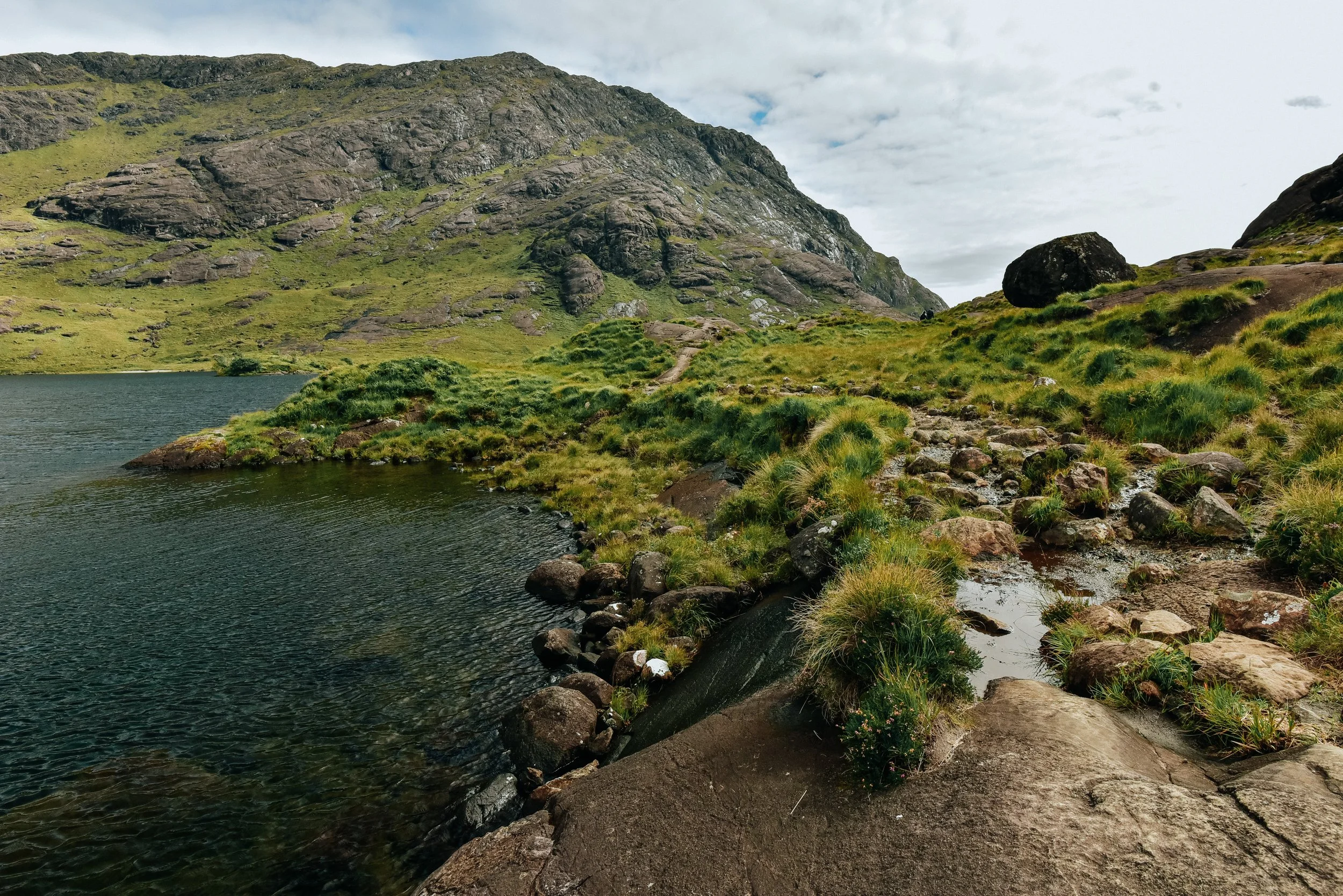 _DSC2464.jpg