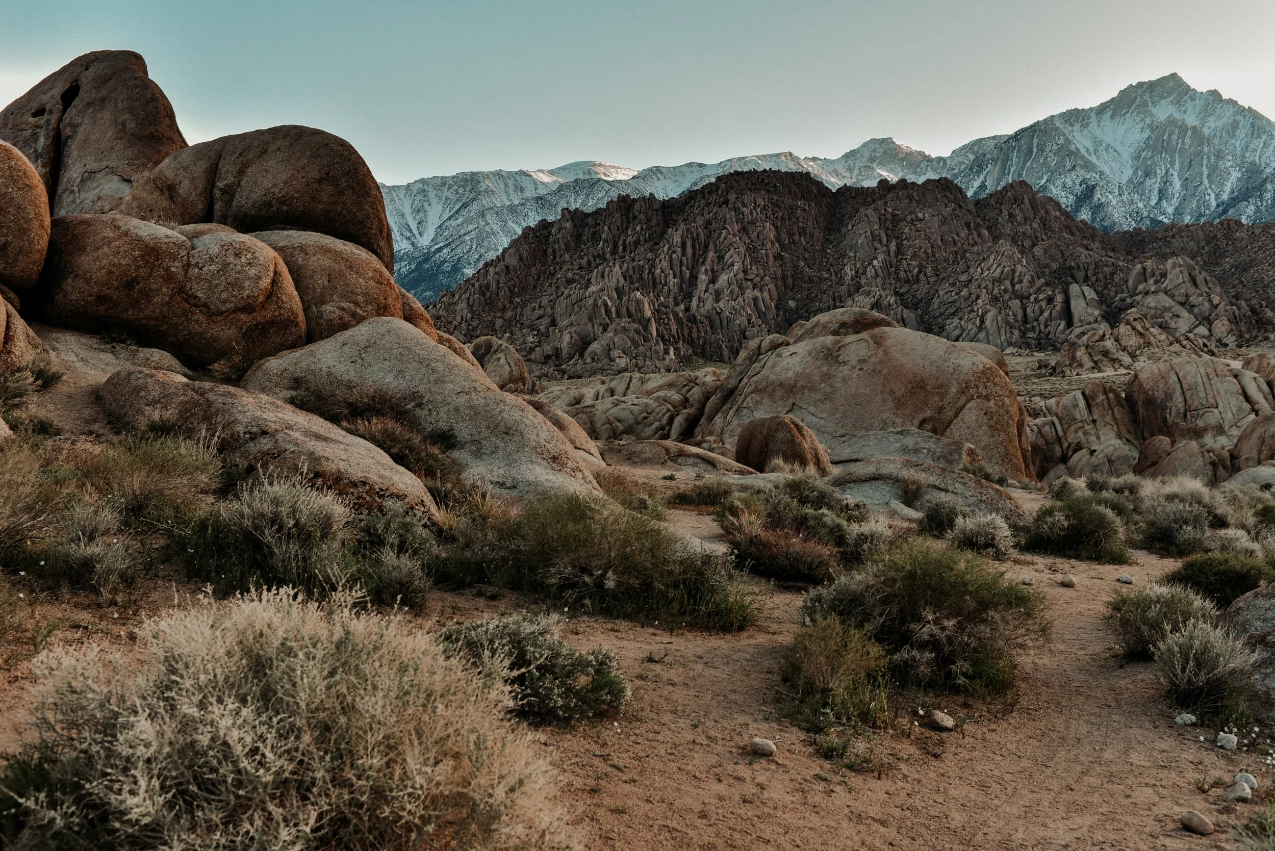_DSC6876.jpg