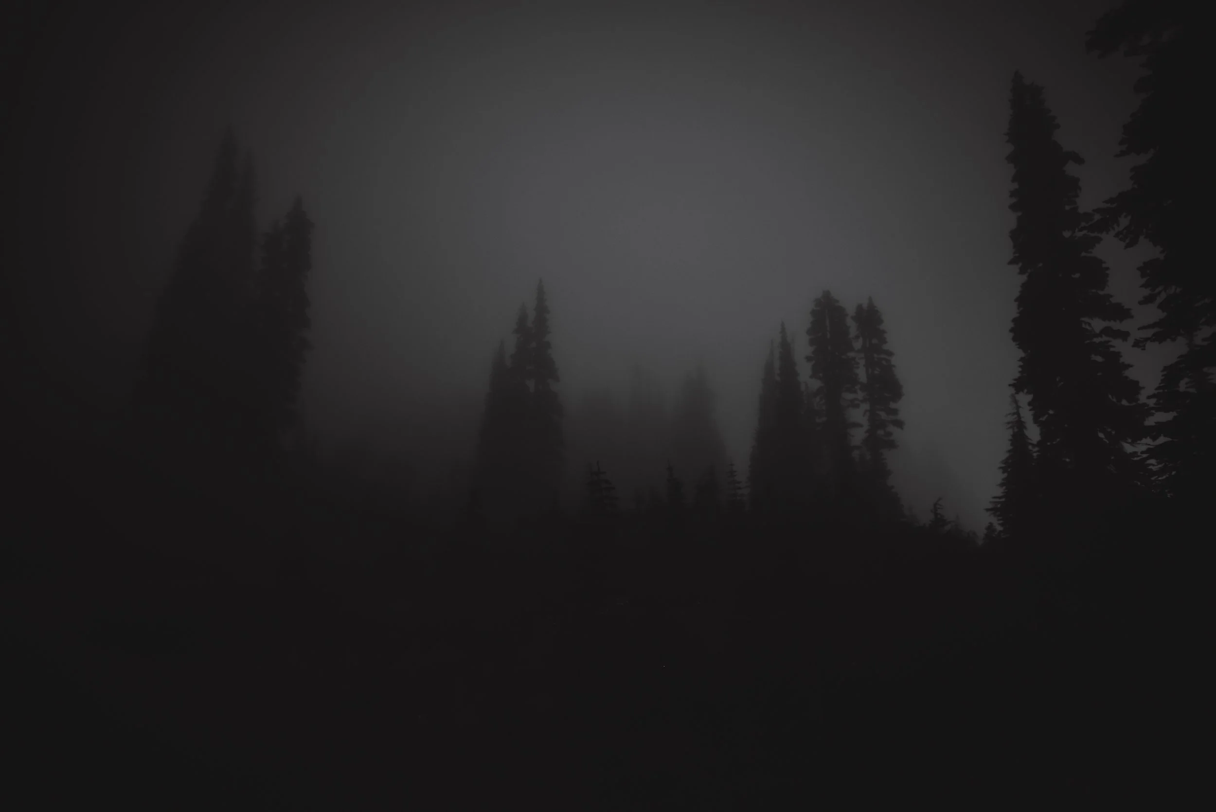 DSC_2566-2.jpg