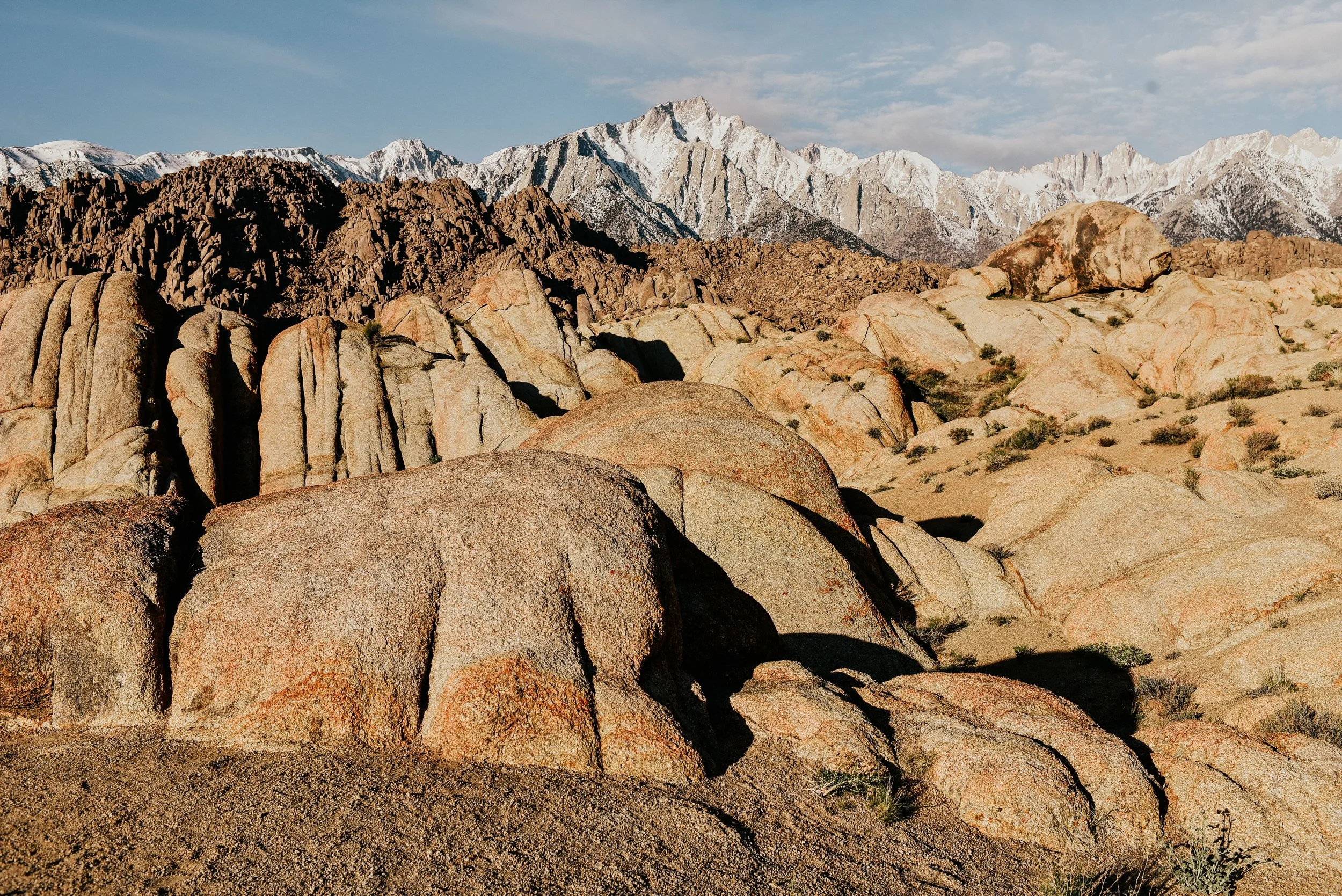 _DSC7455.jpg