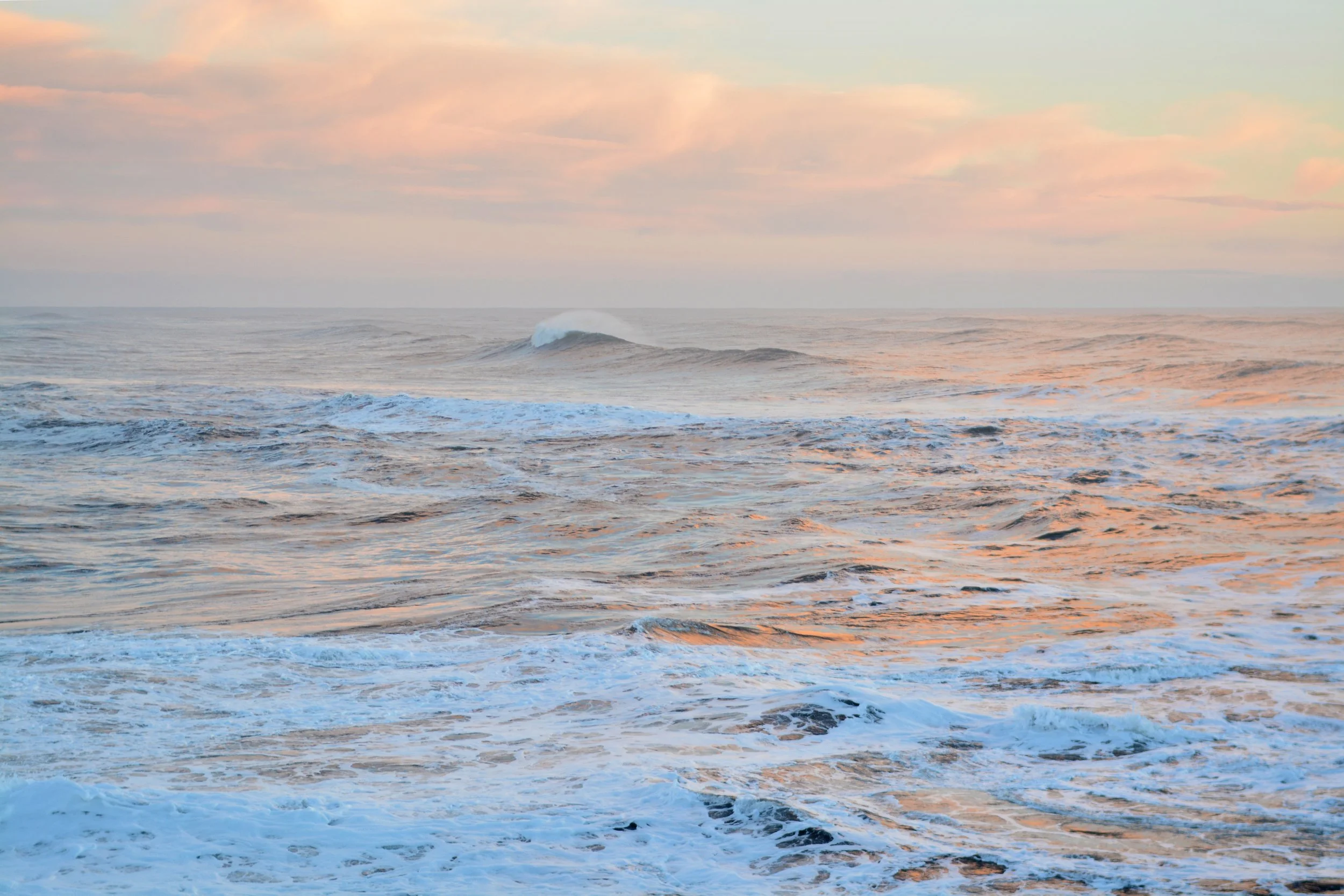 DSC_8457.JPG