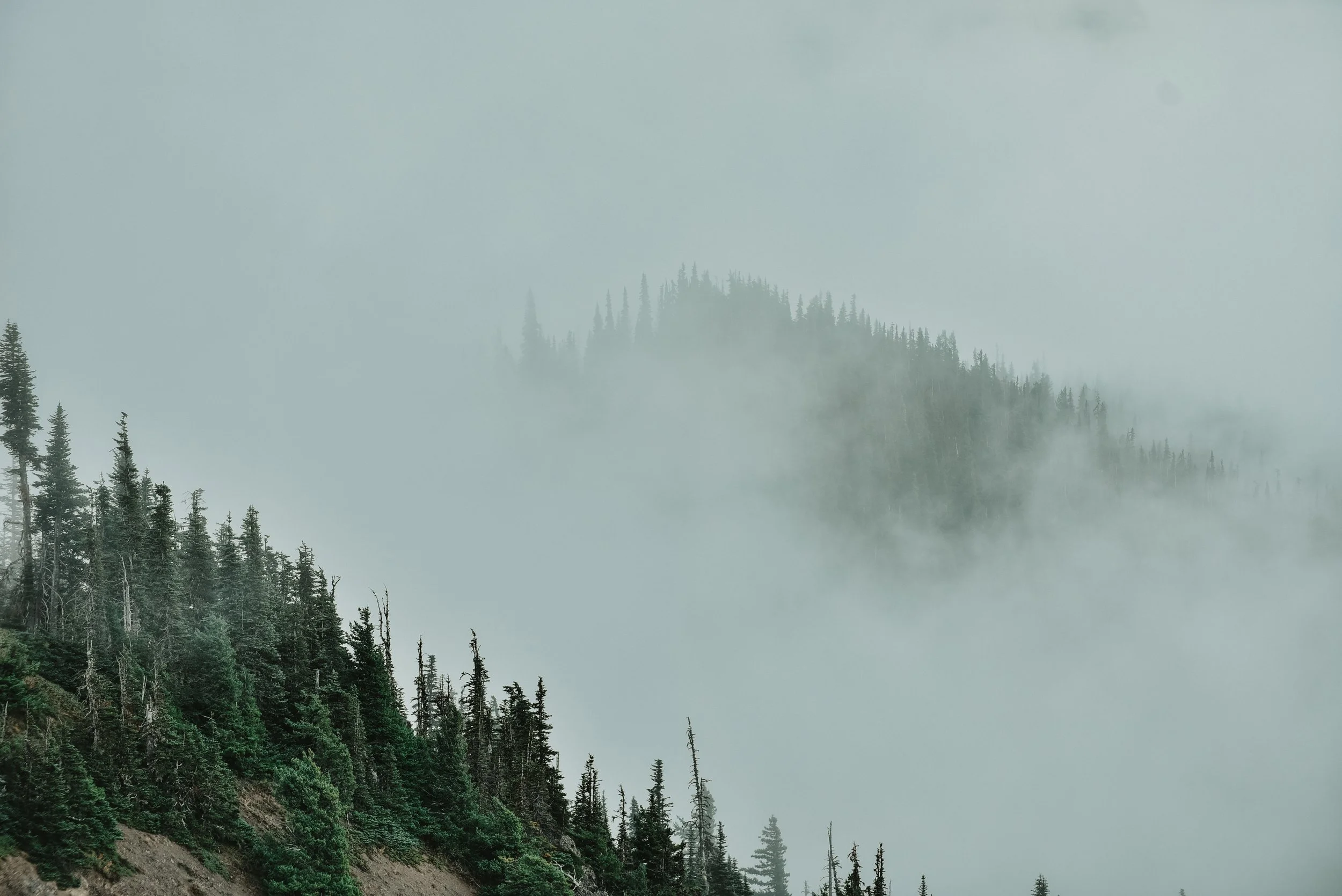 _DSC8754.jpg