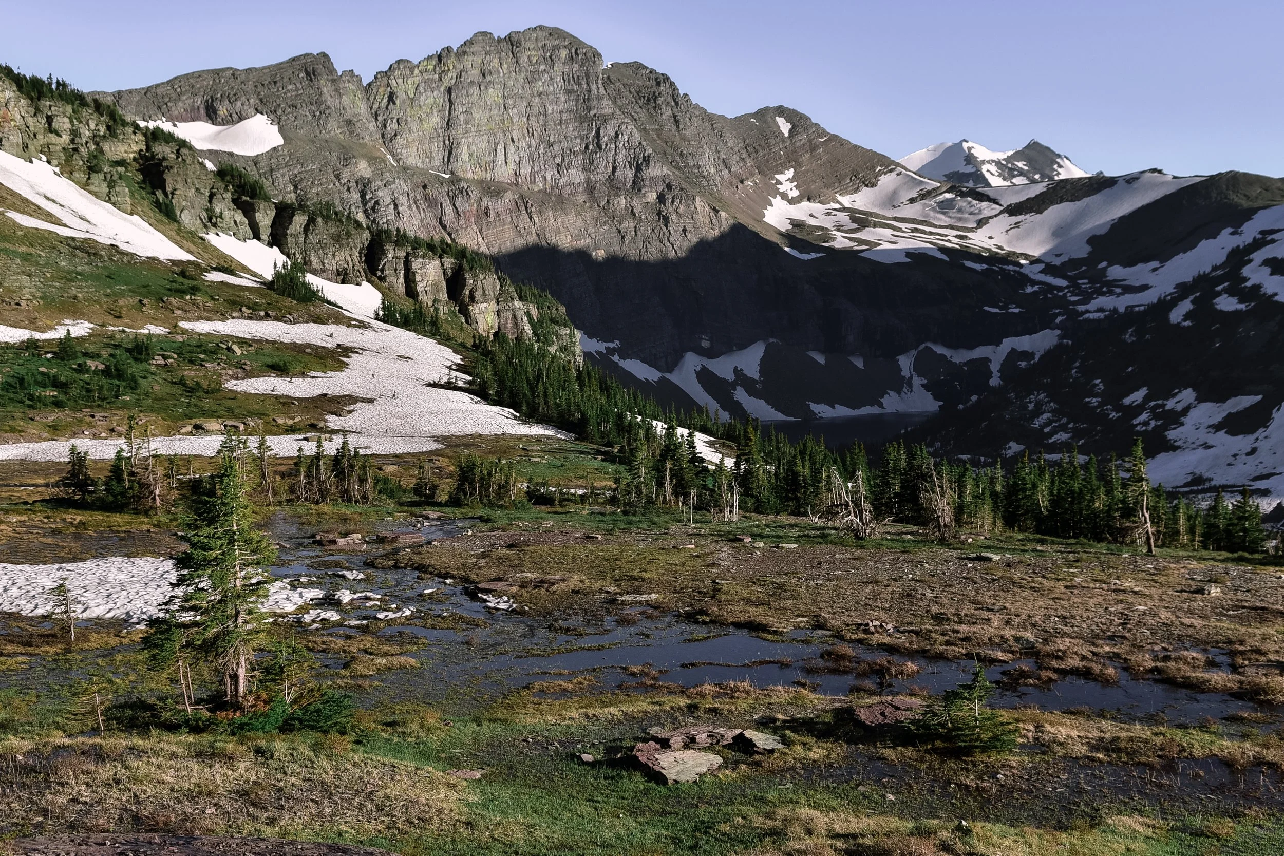 DSC_8191.jpg