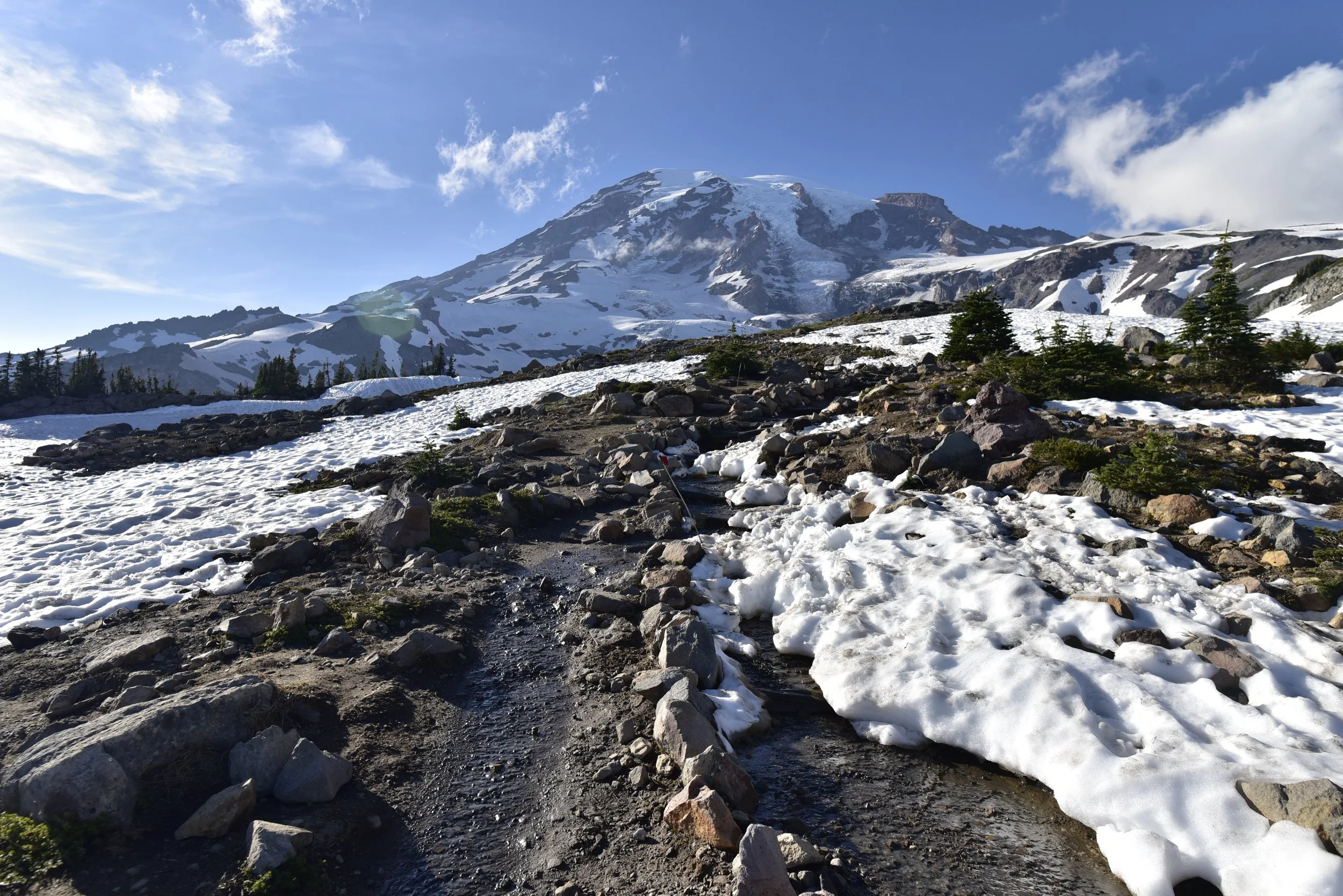 _DSC6374.JPG
