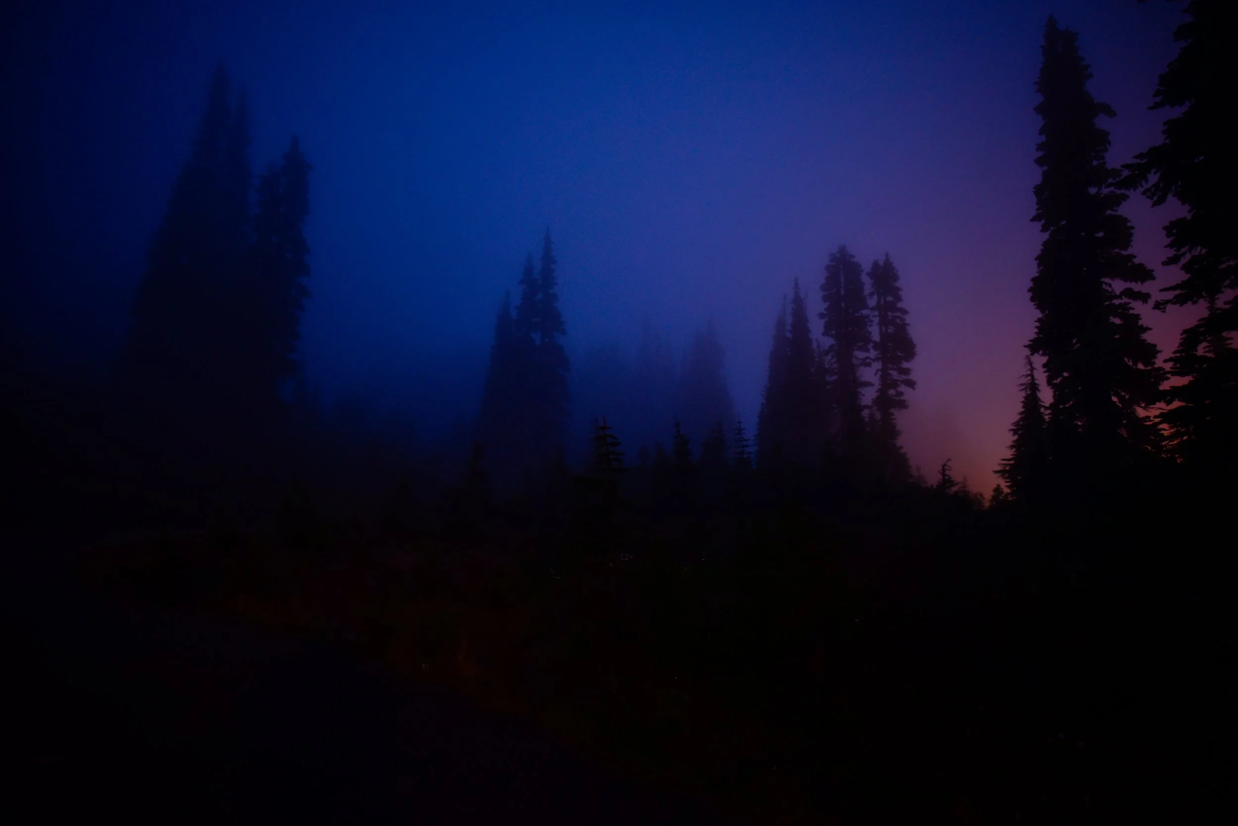 DSC_2565.jpg