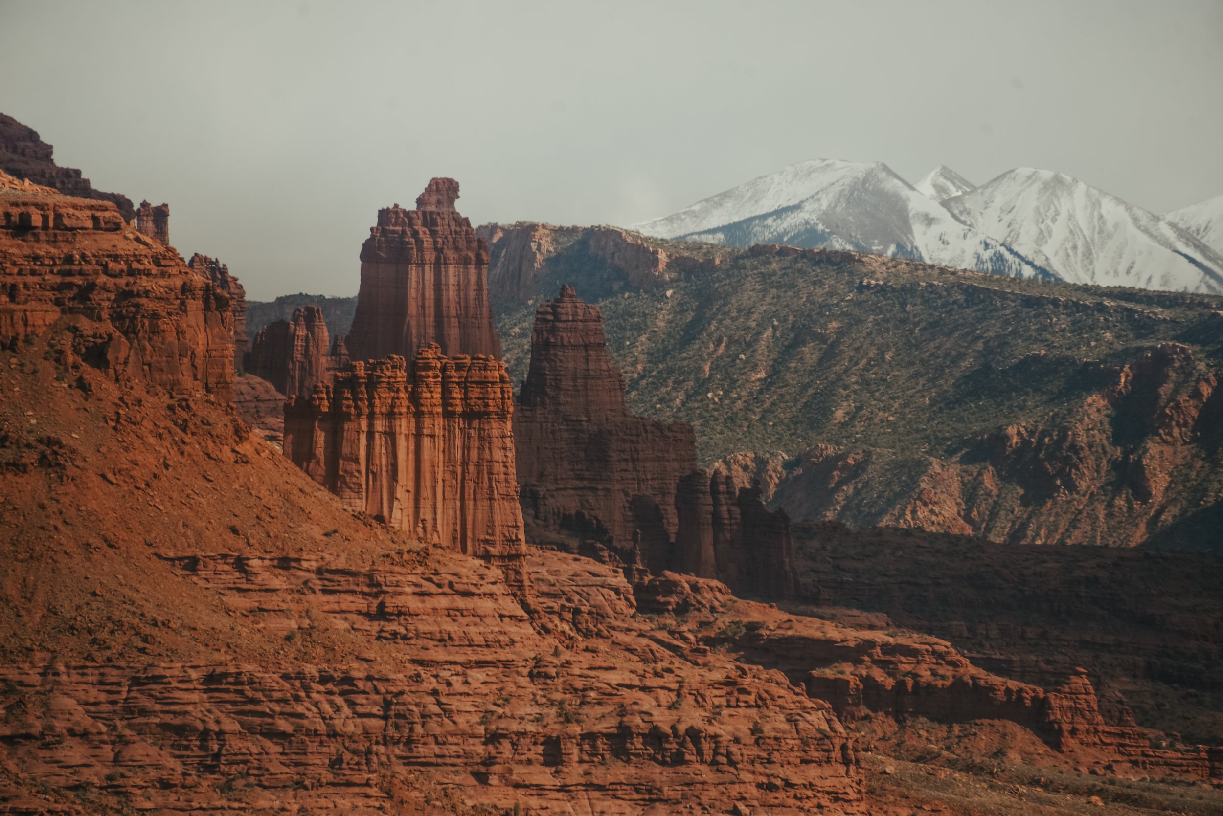 DSC_0378.jpg